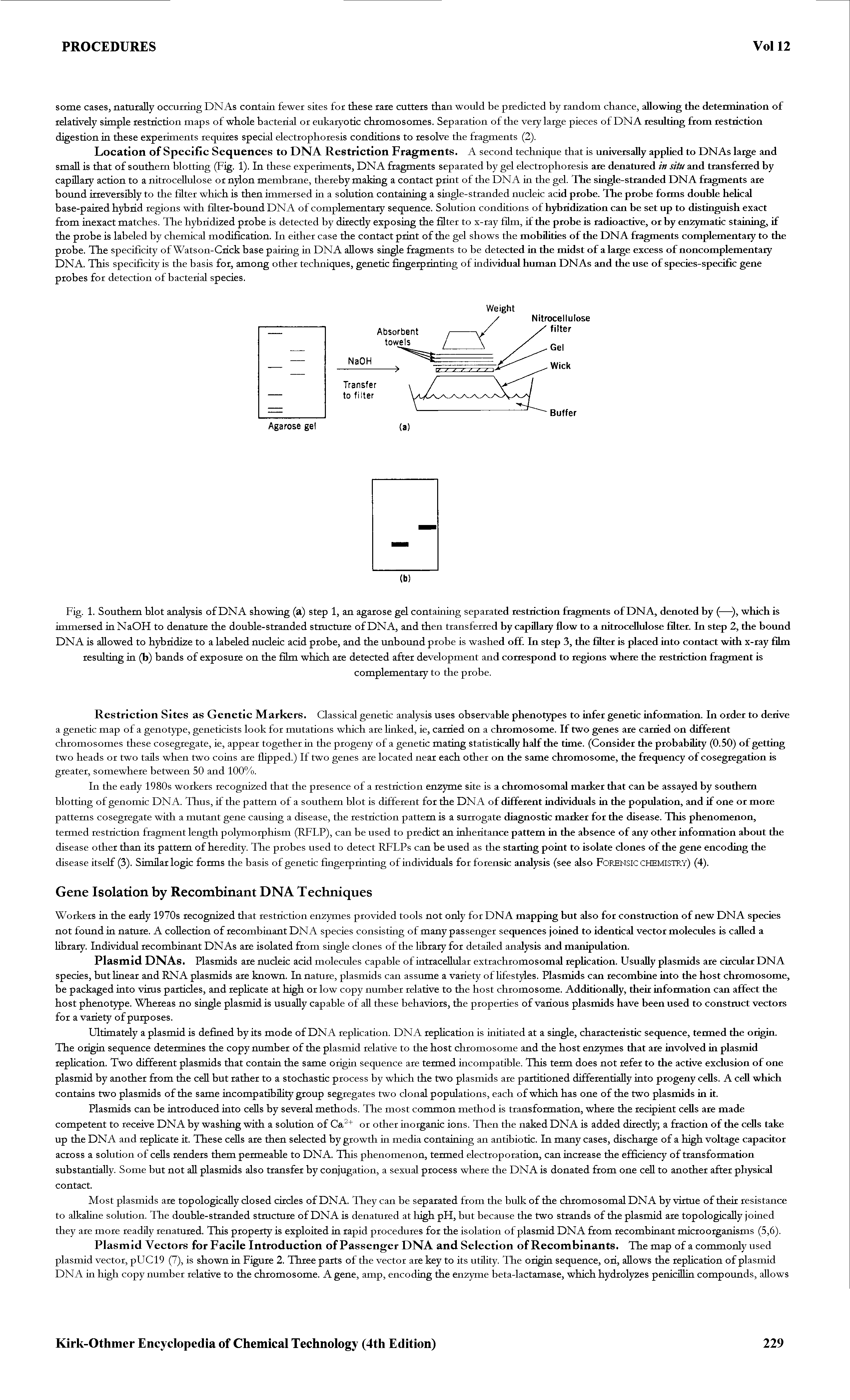 Fig. 1. Southern blot analysis of DNA showing (a) step 1, an agarose gel containing separated restriction fragments of DNA, denoted by (—), which is immersed in NaOH to denature the double-stranded structure of DNA, and then transferred by capillary flow to a nitrocellulose filter. In step 2, the bound DNA is allowed to hybridize to a labeled nucleic acid probe, and the unbound probe is washed off. In step 3, the filter is placed into contact with x-ray film resulting in (b) bands of exposure on the film which are detected after development and correspond to regions where the restriction fragment is...