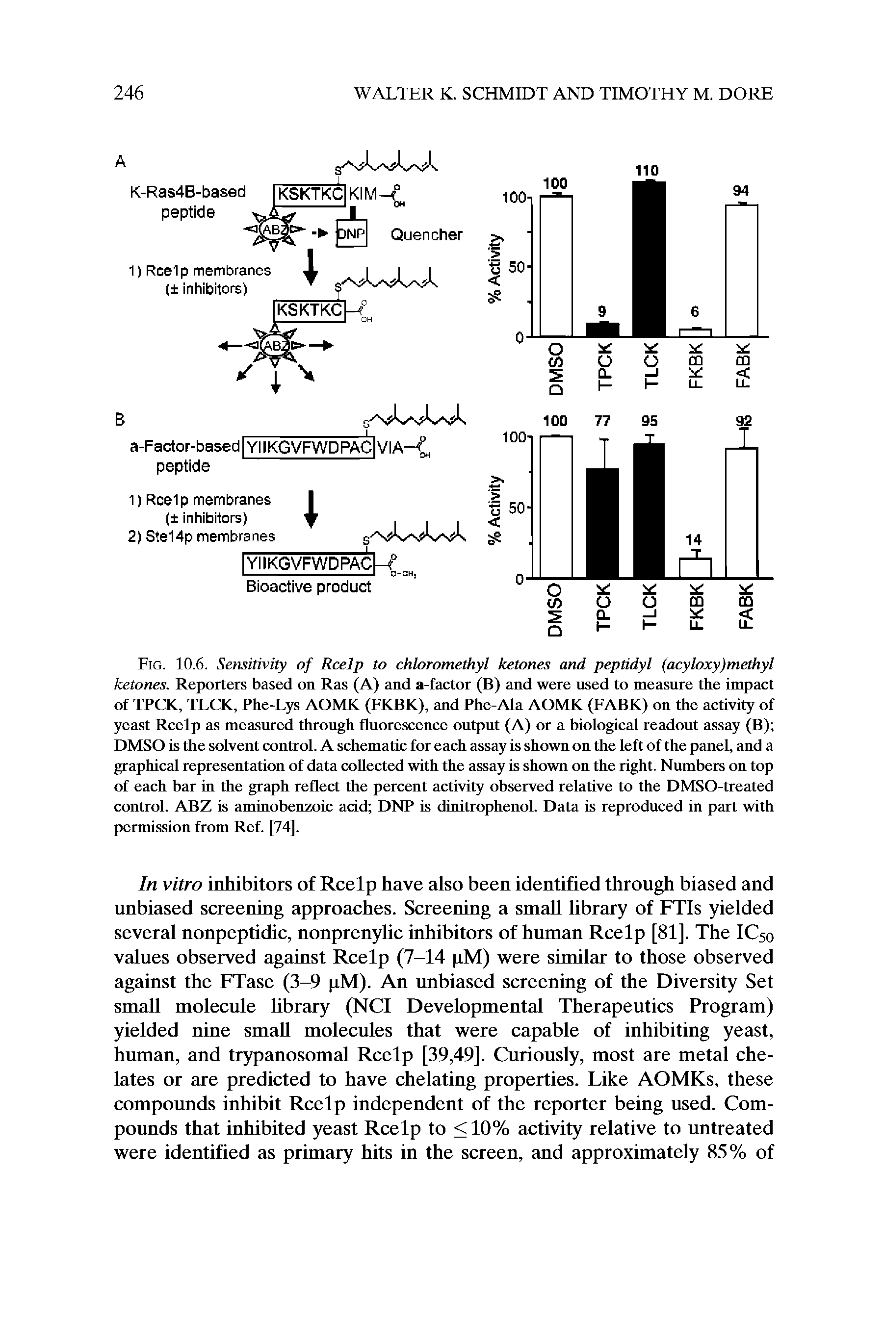Fig. 10.6. Sensitivity of Rcelp to chloromethyl ketones and peptidyl (acyloxy)methyl ketones. Reporters based orr Ras (A) arrd a-factor (B) arrd were used to measure the impact of TPCK, TLCK, Phe-Lys AOMK (FKBK), and Phe-Ala AOMK (FABK) on the activity of yeast Rcelp as measured through fluorescence output (A) or a biological readout assay (B) DMSO is the solvent control. A schematic for each assay is shown on the left of the panel, and a graphical representation of data collected with the assay is shown on the right. Numbers on top of each bar in the graph reflect the percent activity observed relative to the DMSO-treated control. ABZ is aminobenzoic acid DNP is dinitrophenol. Data is reproduced in part with permission from Ref. [74].
