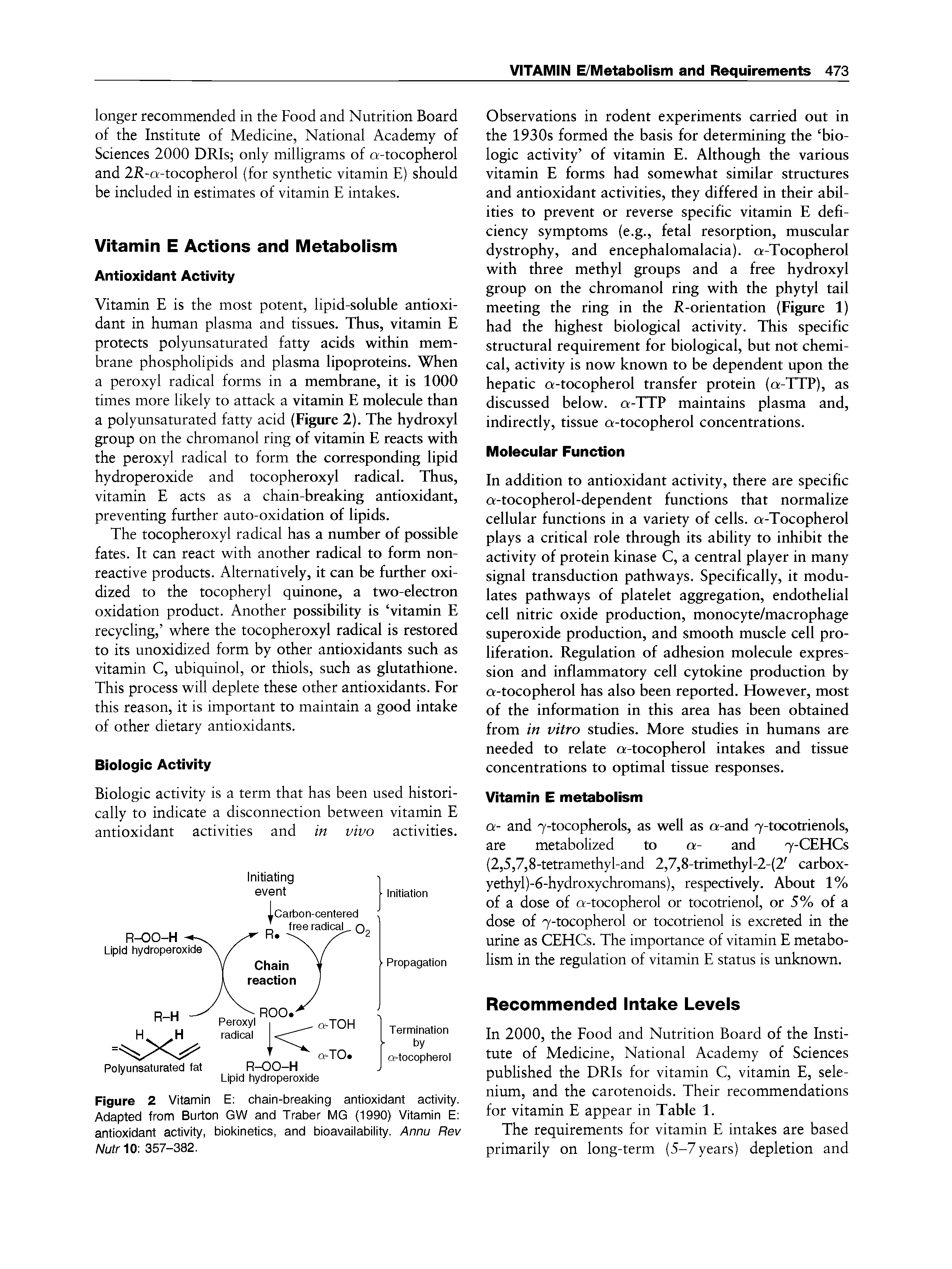 Figure 2 Vitamin E chain-breaking antioxidant activity. Adapted from Burton GW and Traber MG (1990) Vitamin E antioxidant activity, biokinetics, and bioavailability. Annu Rev A/utr10 357-382.