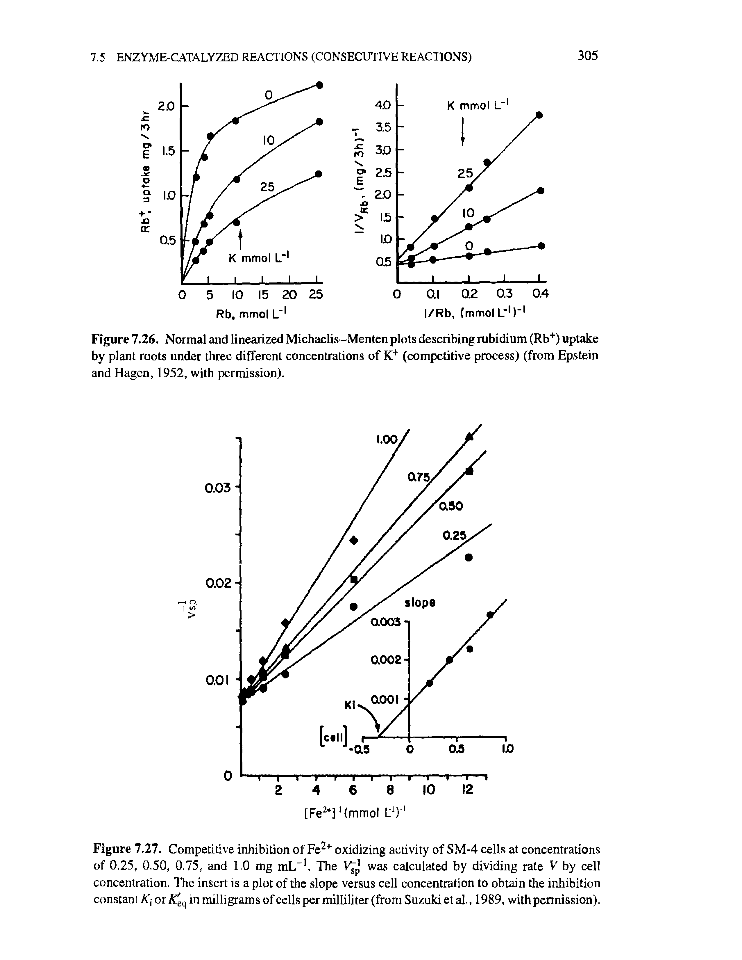 Figure 7.26. Normal and linearized Michaelis-Menten plots describing rubidium (Rb+) uptake by plant roots under three different concentrations of K+ (competitive process) (from Epstein and Hagen, 1952, with permission).