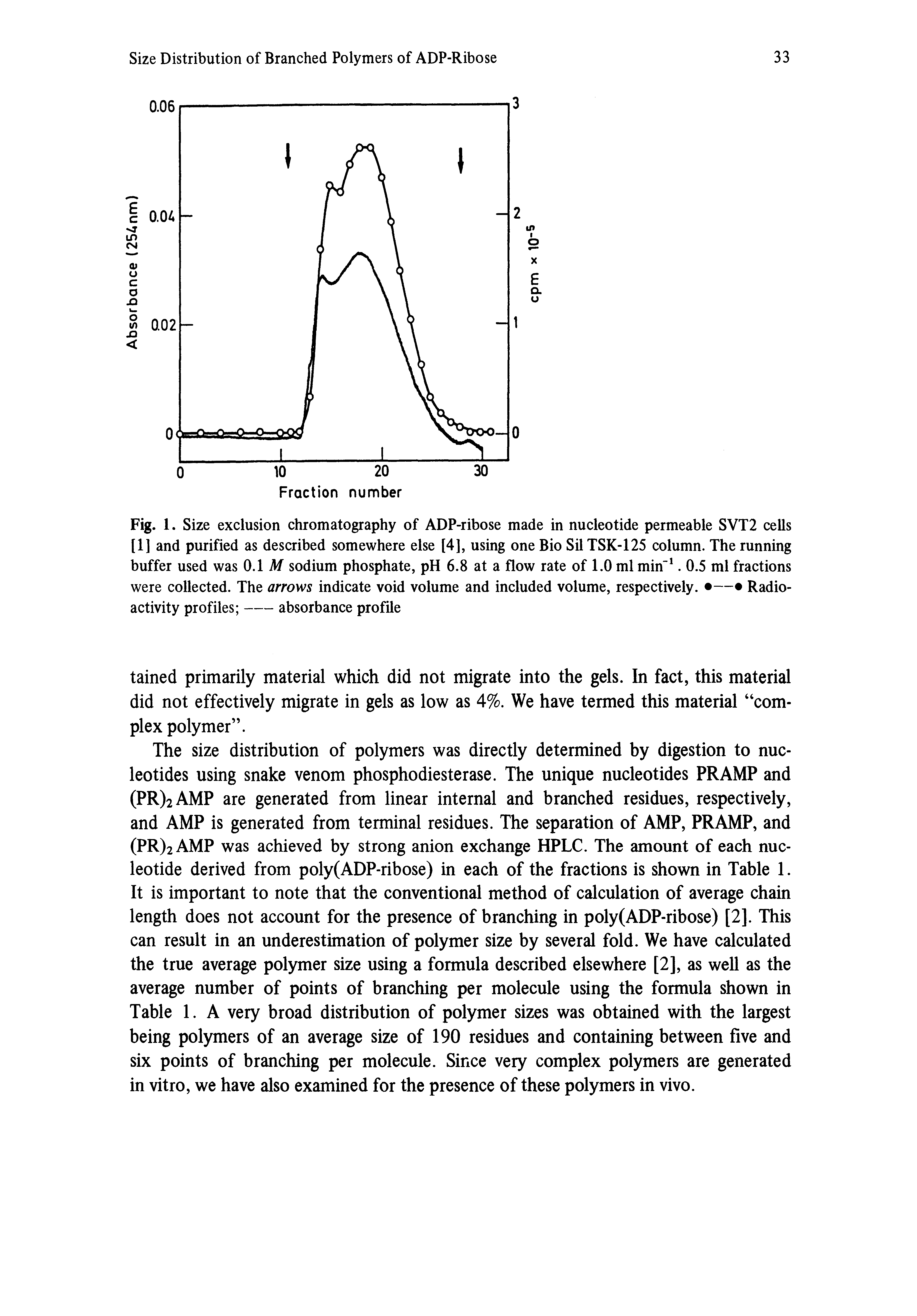 Fig. 1. Size exclusion chromatography of ADP-ribose made in nucleotide permeable SVT2 cells [1] and purified as described somewhere else [4], using one Bio Sil TSK-125 column. The running buffer used was 0.1 A/ sodium phosphate, pH 6.8 at a flow rate of 1.0 ml min". 0.5 ml fractions were collected. The arrows indicate void volume and included volume, respectively. — Radioactivity profiles -absorbance profile...