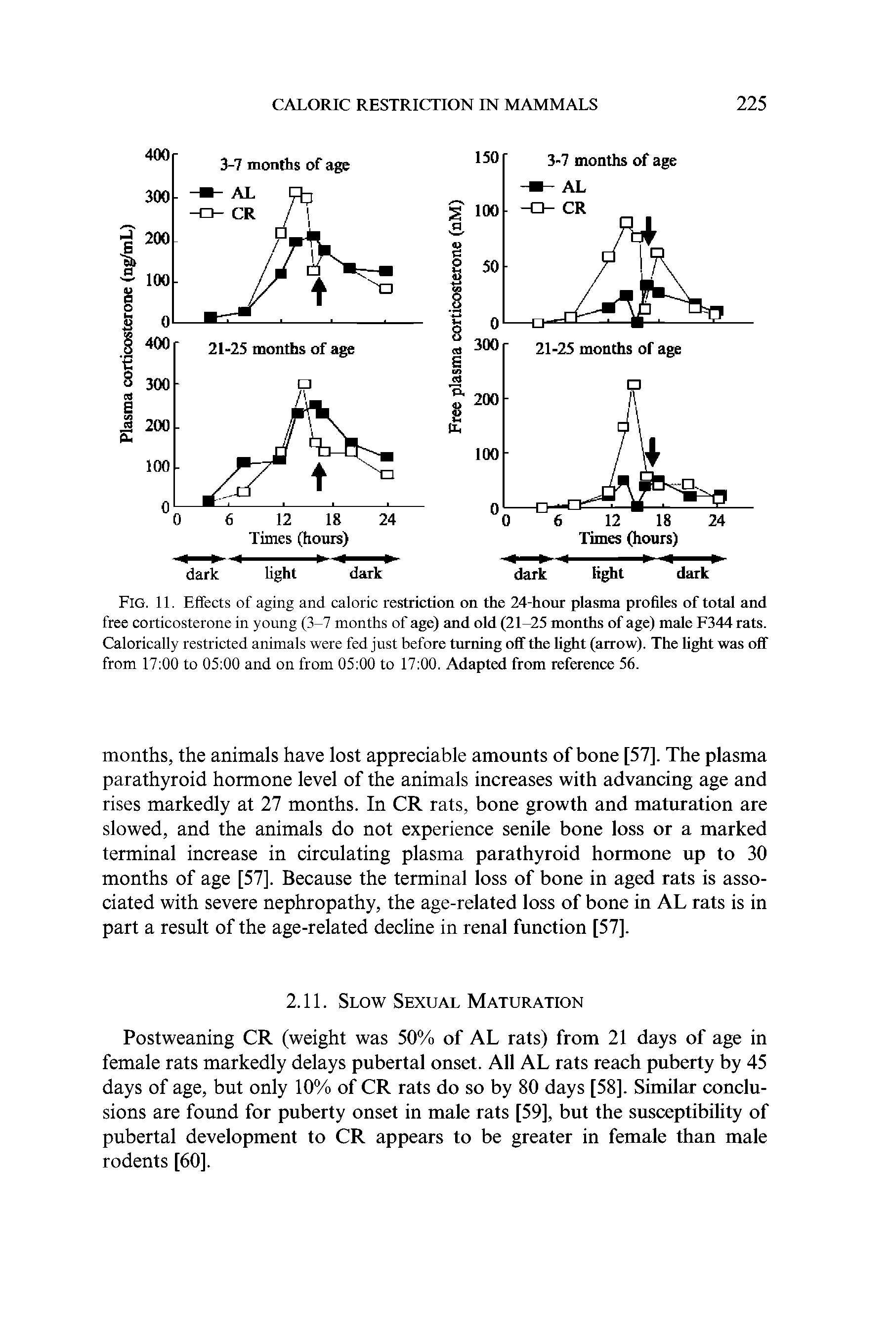 Fig. 11. Effects of aging and caloric restriction on the 24-hour plasma profiles of total and free corticosterone in young (3-7 months of age) and old (21-25 months of age) male F344 rats. Calorically restricted animals were fed just before turning off the light (arrow). The light was off from 17 00 to 05 00 and on from 05 00 to 17 00. Adapted from reference 56.