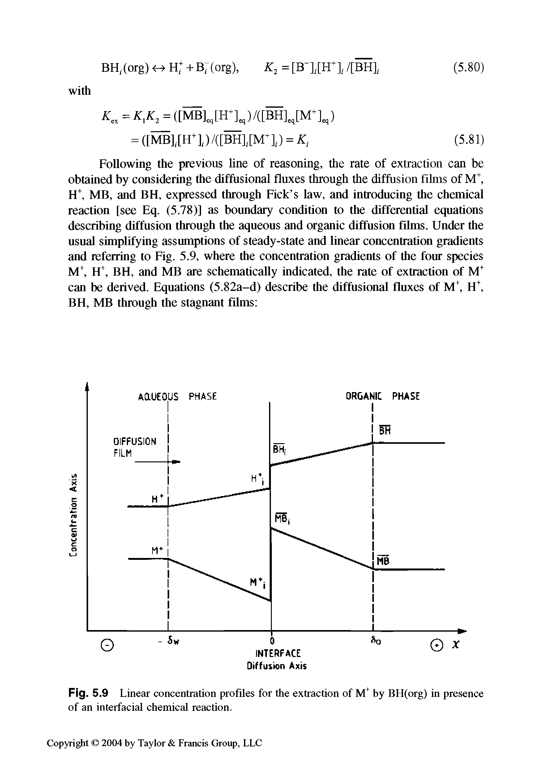 Fig. 5.9 Linear concentration profiles for the extraction of by BH(org) in presence of an interfacial chemical reaction.