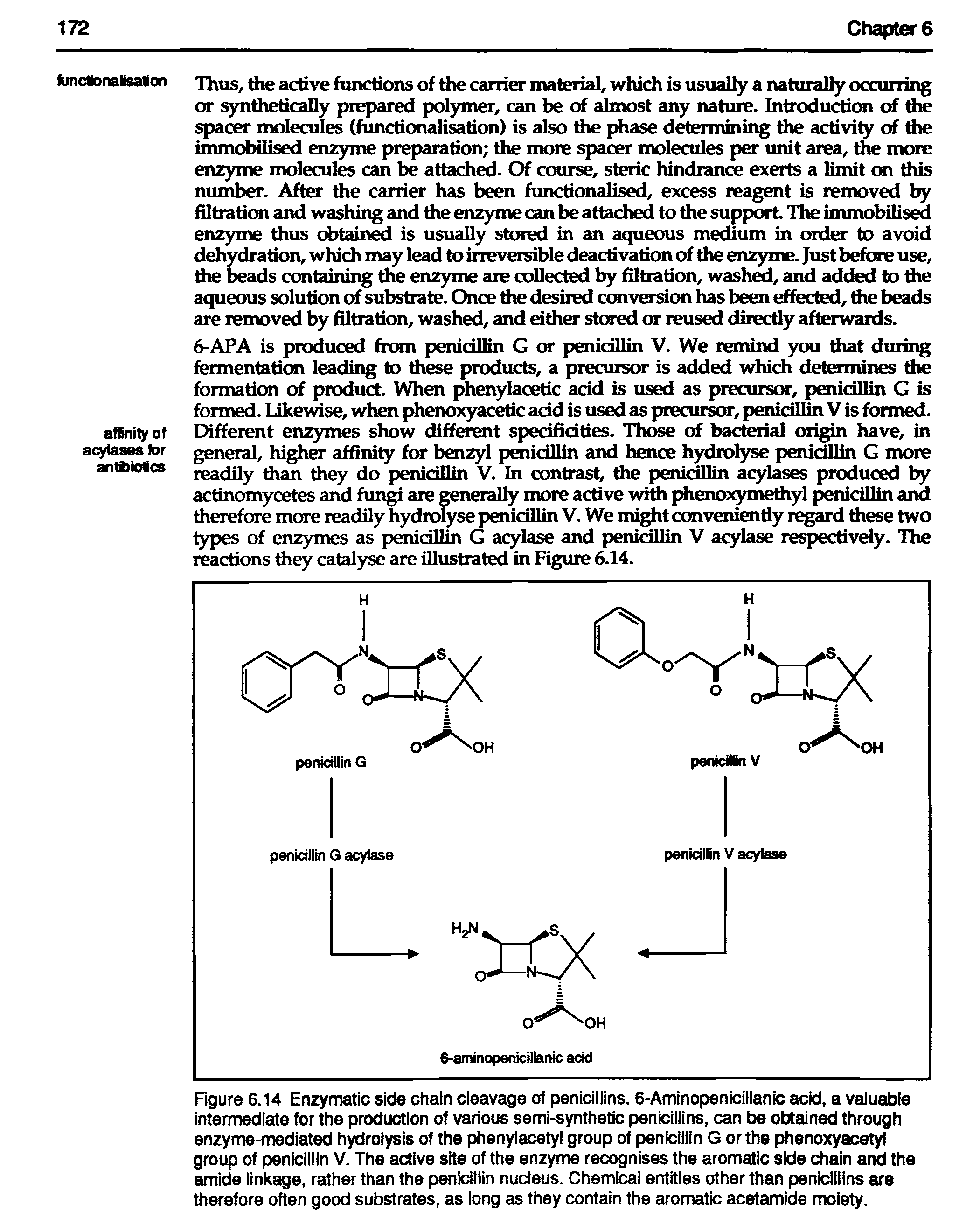 Figure 6.14 Enzymatic side chain cieavage of penidliins. 6-Aminopenicillanic acid, a vaiuabie intermediate for the production of various semi-synthetic penicillins, can be obtain through enzyme-mediated hydrolysis of the phenylacetyl group of penicillin G or the phenoxyacetyi group of penicillin V. The active site of the enzyme recognises the aromatic side chain and the amide linkage, rather than the penidllin nucleus. Chemical entities other than penicillins are therefore often good substrates, as long as they contain the aromatic acetamide moiety.