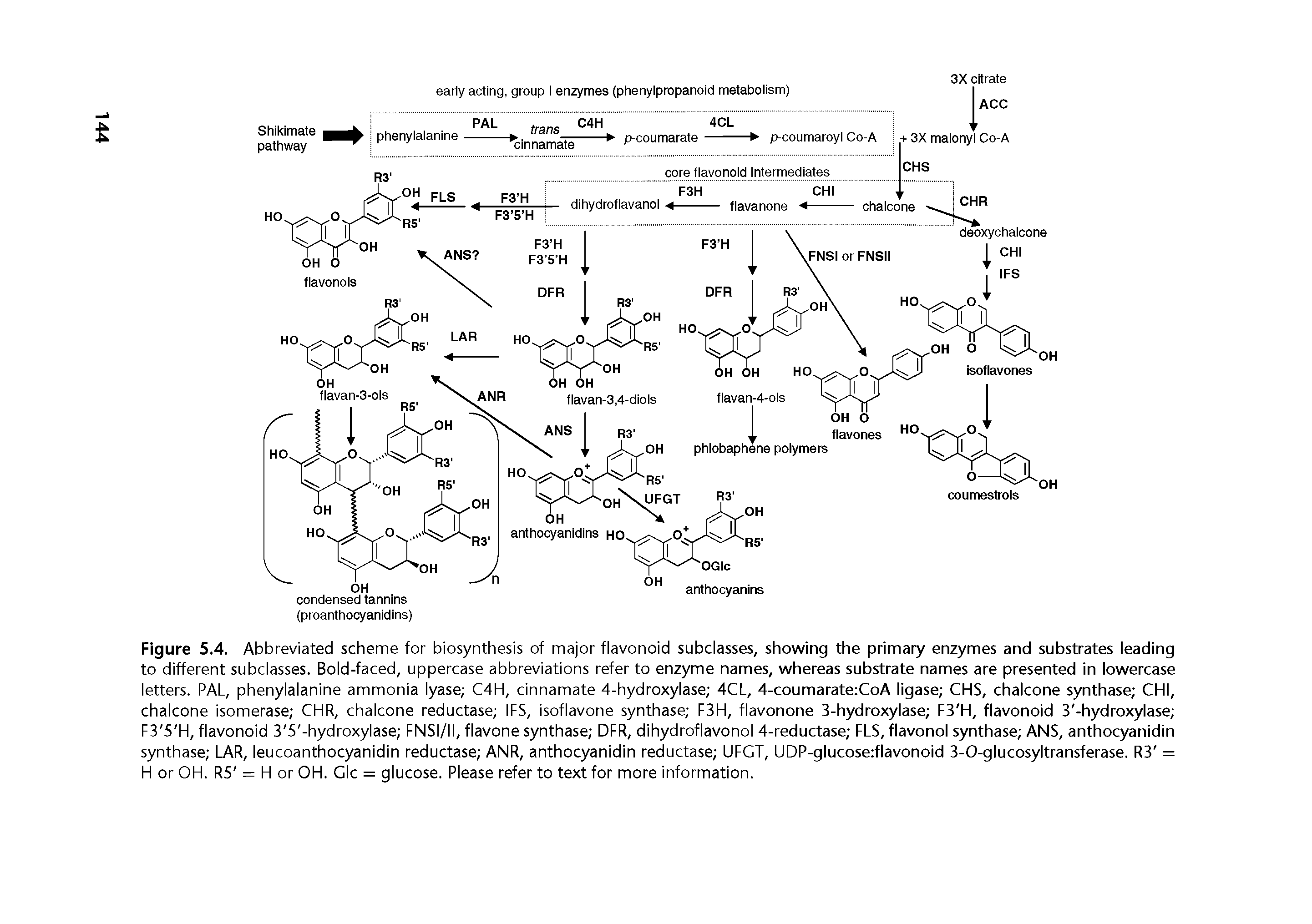 Figure 5.4. Abbreviated scheme for biosynthesis of major flavonoid subclasses, showing the primary enzymes and substrates leading to different subclasses. Bold-faced, uppercase abbreviations refer to enzyme names, whereas substrate names are presented in lowercase letters. PAL, phenylalanine ammonia lyase C4H, cinnamate 4-hydroxylase 4CL, 4-coumarate CoA ligase CHS, chalcone synthase CHI, chalcone isomerase CHR, chalcone reductase IPS, isoflavone synthase F3H, flavonone 3-hydroxylase F3 H, flavonoid 3 -hydroxylase F3 5 H, flavonoid 3 5 -hydroxylase FNSI/II, flavone synthase DFR, dihydroflavonol 4-reductase FLS, flavonol synthase ANS, anthocyanidin synthase LAR, leucoanthocyanidin reductase ANR, anthocyanidin reductase UFGT, UDP-glucose flavonoid 3-O-glucosyltransferase. R3 = H or OH. R5 = H or OH. Glc = glucose. Please refer to text for more information.