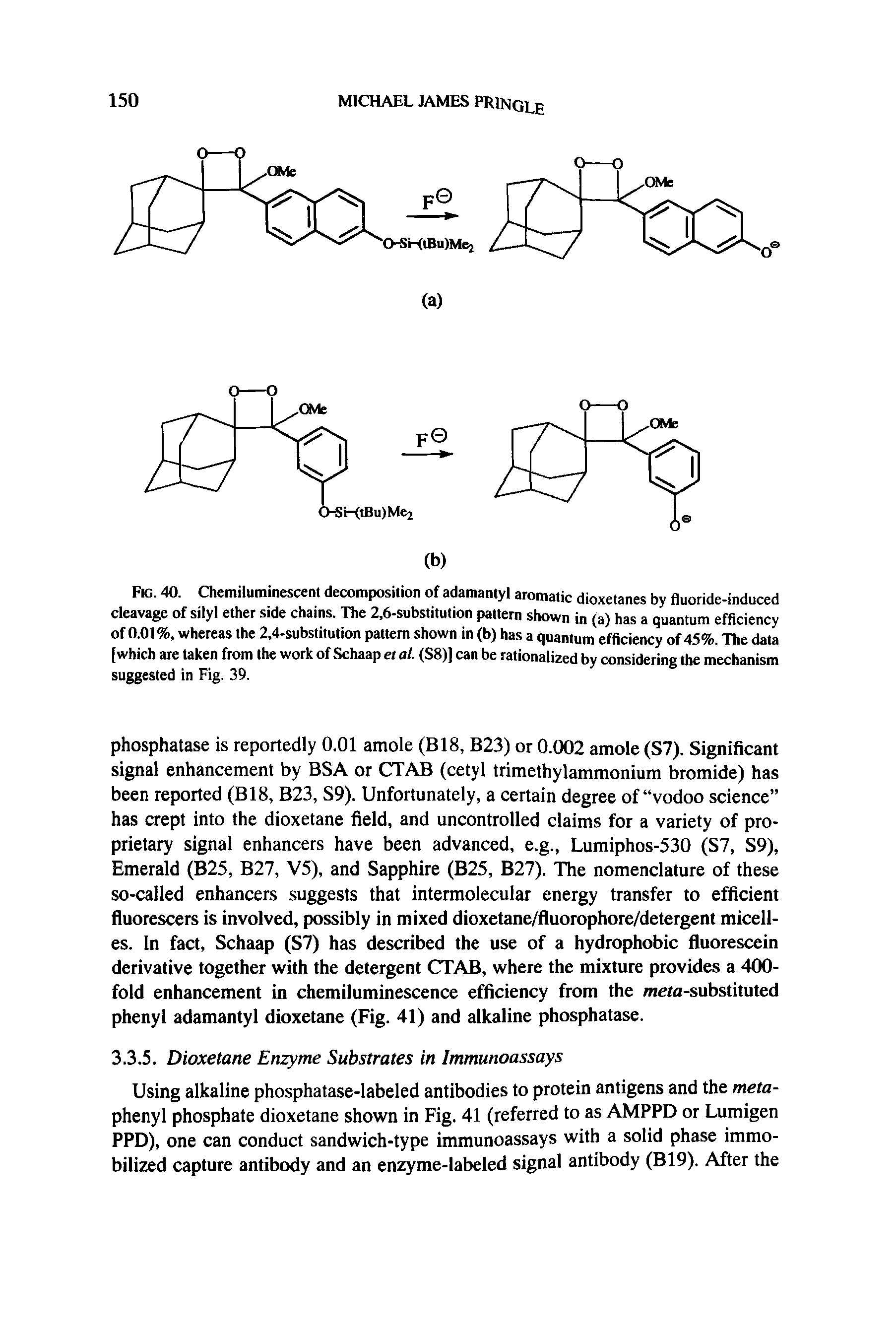 Fig. 40. Chemiluminescent decomposition of adamantyl aromatic dioxetanes by fluoride-induced cleavage of silyl ether side chains. The 2,6-substitution pattern shown in (a) has a quantum efficiency of 0.01%, whereas the 2,4-substitution pattern shown in (b) has a quantum efficiency of 45%. The data [which are taken from the work of Schaap et al. (S8)] can be rationalized by considering the mechanism suggested in Fig. 39.