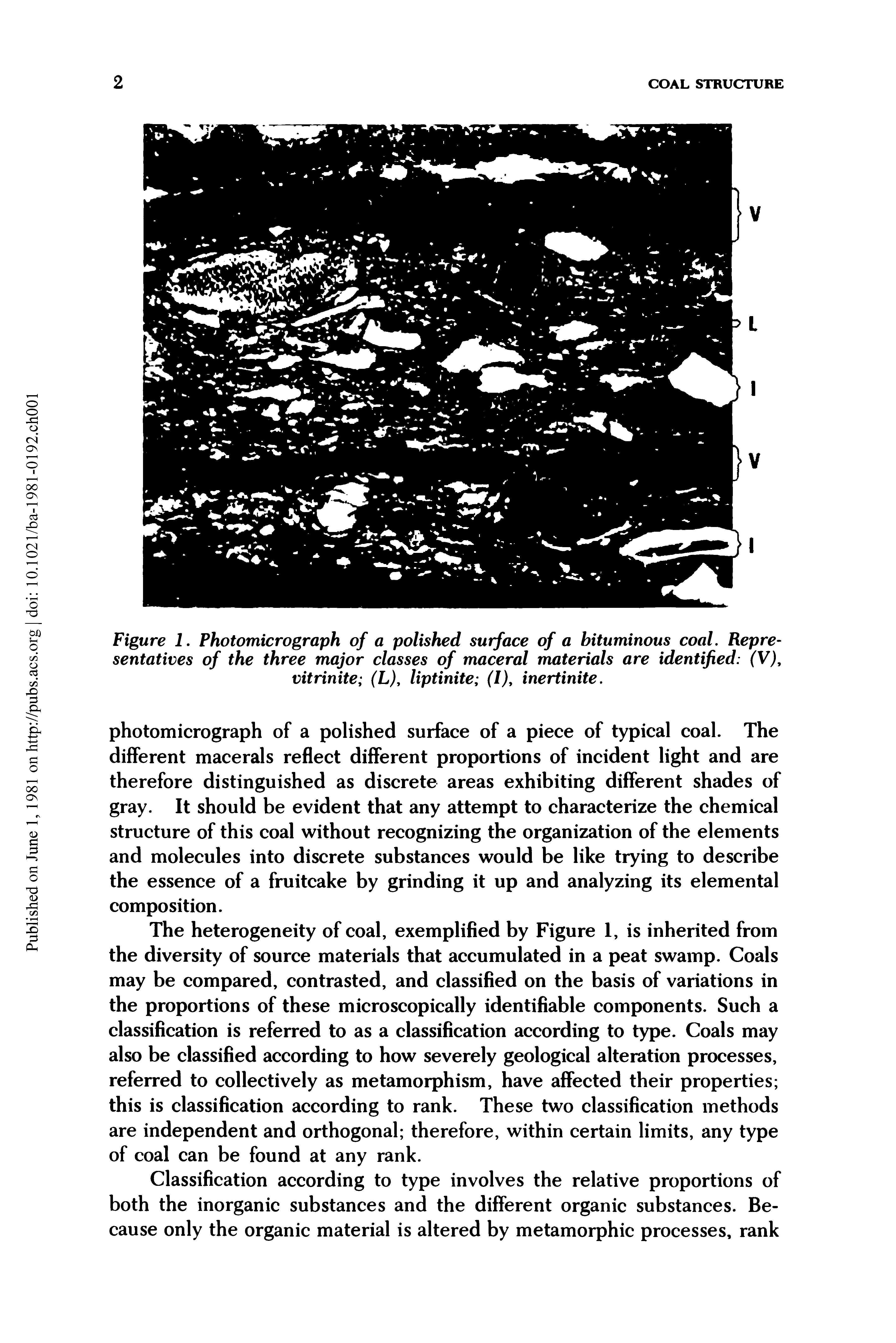 Figure 1. Photomicrograph of a polished surface of a bituminous coal. Representatives of the three major classes of maceral materials are identified (V), vitrinite (L), liptinite (I), inertinite.