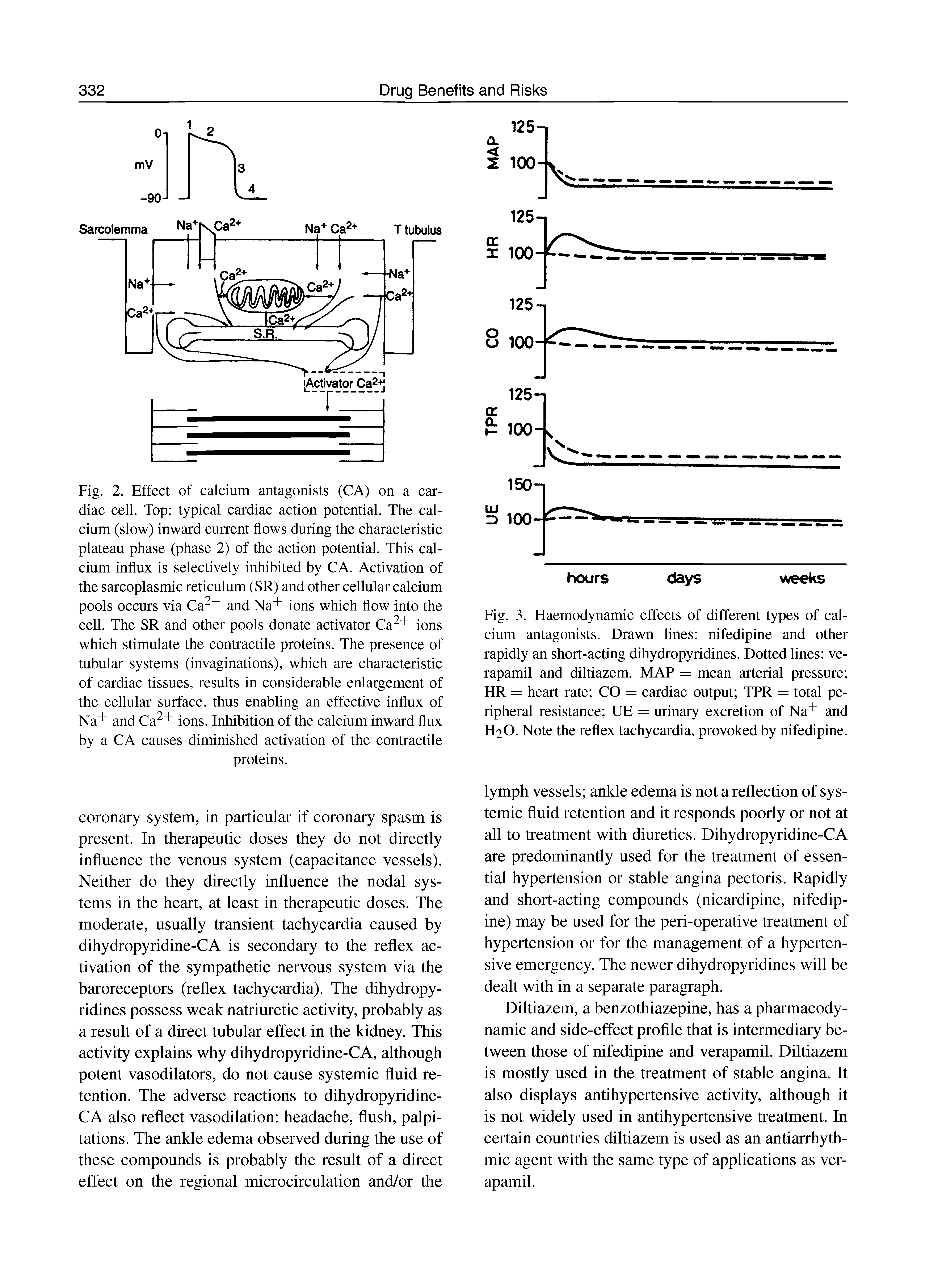 Fig. 2. Effect of calcium antagonists (CA) on a cardiac cell. Top typical cardiac action potential. The calcium (slow) inward current flows during the characteristic plateau phase (phase 2) of the action potential. This calcium influx is selectively inhibited by CA. Activation of the sarcoplasmic reticulum (SR) and other cellular calcium pools occurs via Ca + and Na+ ions which flow into the cell. The SR and other pools donate activator Ca + ions which stimulate the contractile proteins. The presence of tubular systems (invaginations), which are characteristic of cardiac tissues, results in considerable enlargement of the cellular surface, thus enabling an effective influx of Na+ and Ca + ions. Inhibition of the calcium inward flux by a CA causes diminished activation of the contractile proteins.