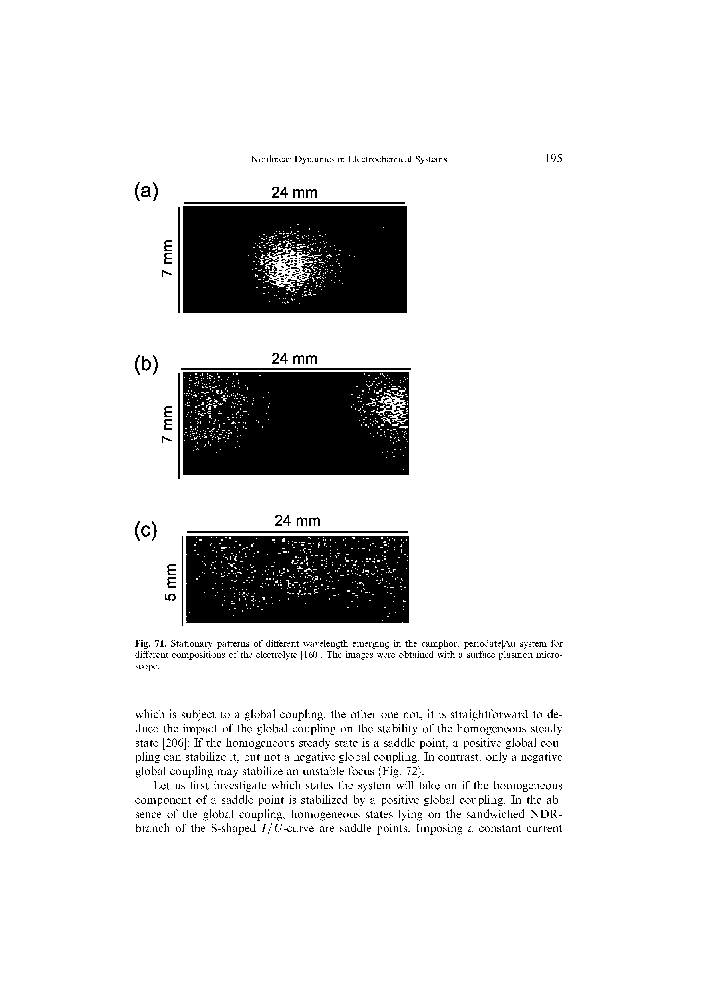 Fig. 71. Stationary patterns of different wavelength emerging in the camphor, periodate Au system for different compositions of the electrolyte [160], The images were obtained with a surface plasmon microscope.