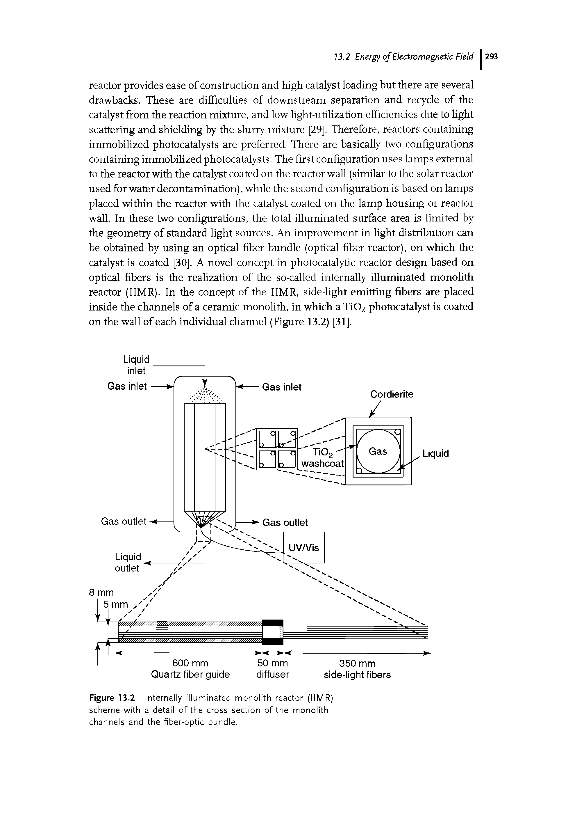 Figure 13.2 Internally illuminated monolith reactor (IIMR) scheme with a detail of the cross section of the monolith channels and the fiber-optic bundle.