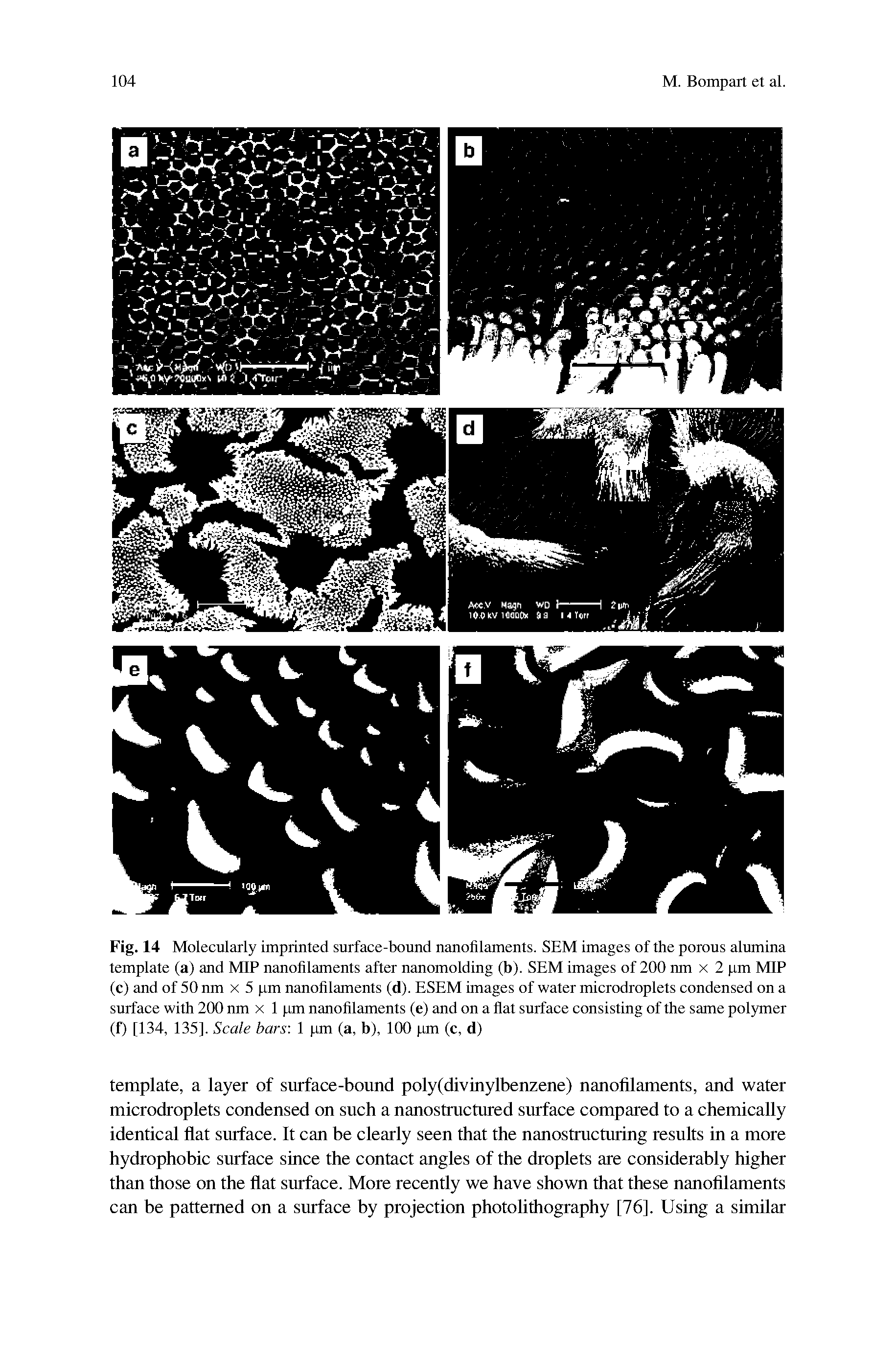 Fig. 14 Molecularly imprinted surface-bound nanofilaments. SEM images of the porous alumina template (a) and MIP nanofilaments after nanomolding (b). SEM images of 200 nm x 2 pm MIP (c) and of 50 nm x 5 pm nanofilaments (d). ESEM images of water microdroplets condensed on a surface with 200 nm x 1 pm nanofilaments (e) and on a flat surface consisting of the same polymer (f) [134, 135], Scale bars 1 pm (a, b), 100 pm (c, d)...