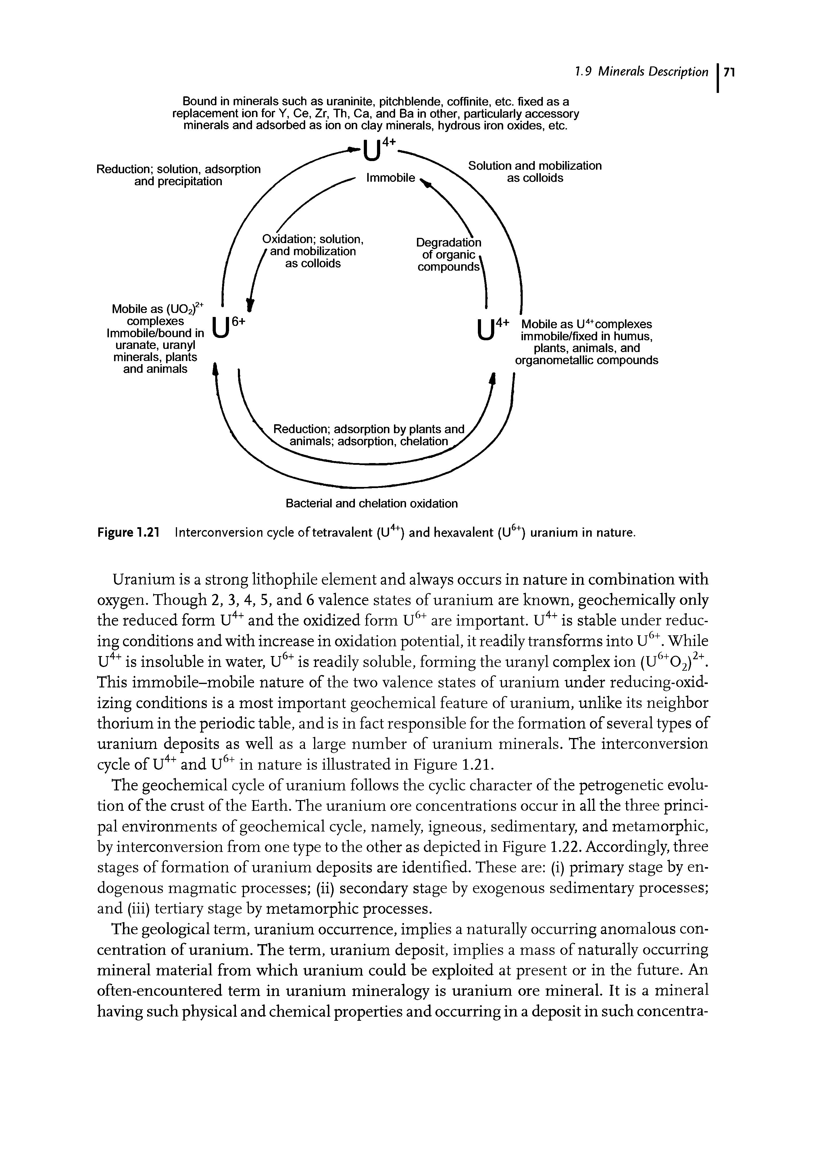 Figure 1.21 Interconversion cycle oftetravalent (U4+) and hexavalent (U6+) uranium in nature.