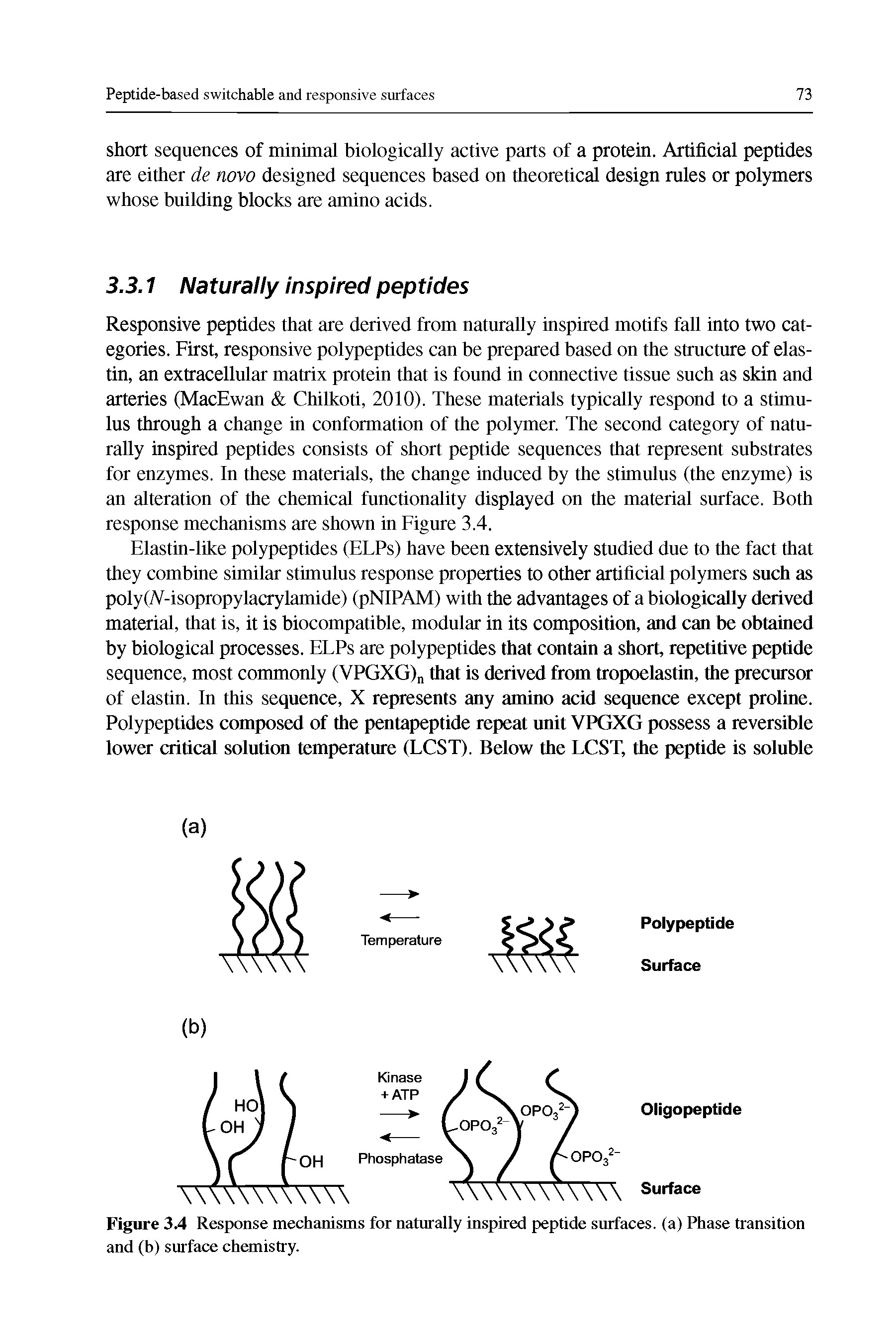 Figure 34 Response mechanisms for naturally inspired peptide surfaces, (a) Phase transition and (h) surface chemistry.