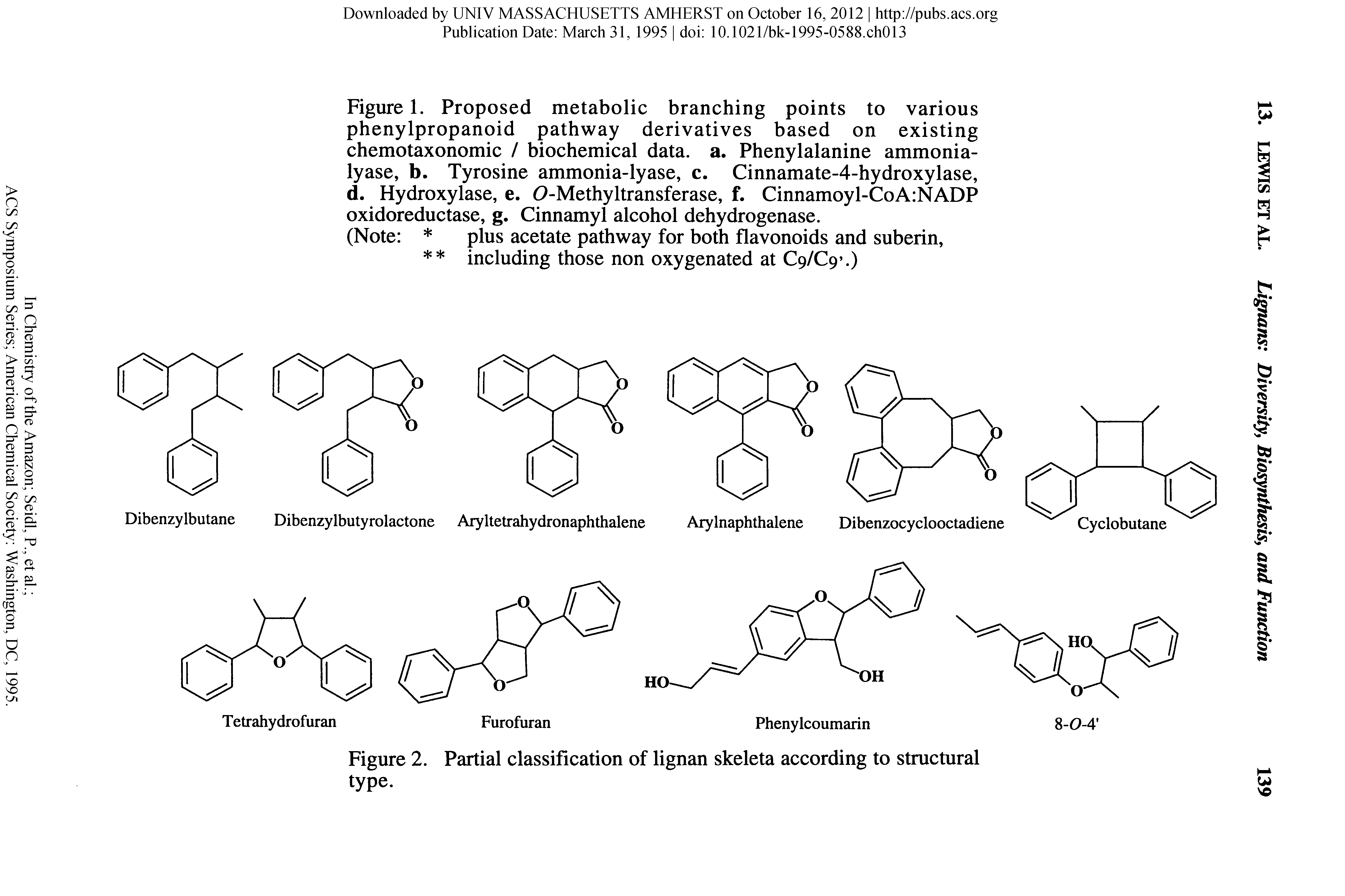 Figure 1. Proposed metabolic branching points to various phenylpropanoid pathway derivatives based on existing chemotaxonomic / biochemical data. a. Phenylalanine ammonia-lyase, b. Tyrosine ammonia-lyase, c. Cinnamate-4-hydroxylase, d. Hydroxylase, e. 0-Methyltransferase, f. Cinnamoyl-CoA NADP oxidoreductase, g. Cinnamyl alcohol dehydrogenase.