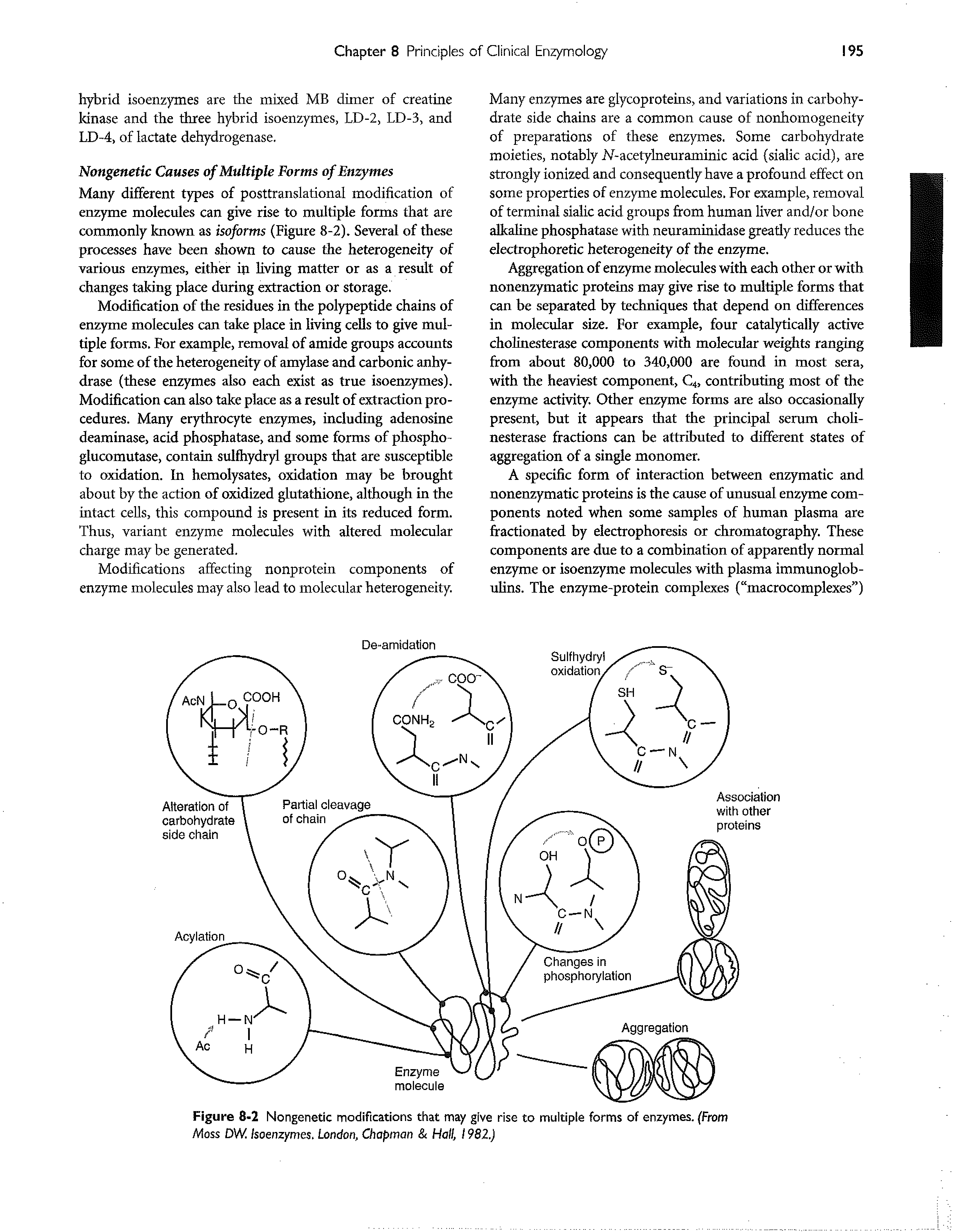 Figure 8-2 Nongenetic modifications that may give rise to multiple forms of enzymes. (From A4oss DW. Isoenzymes. London, Chapman Hall, 1982.)...