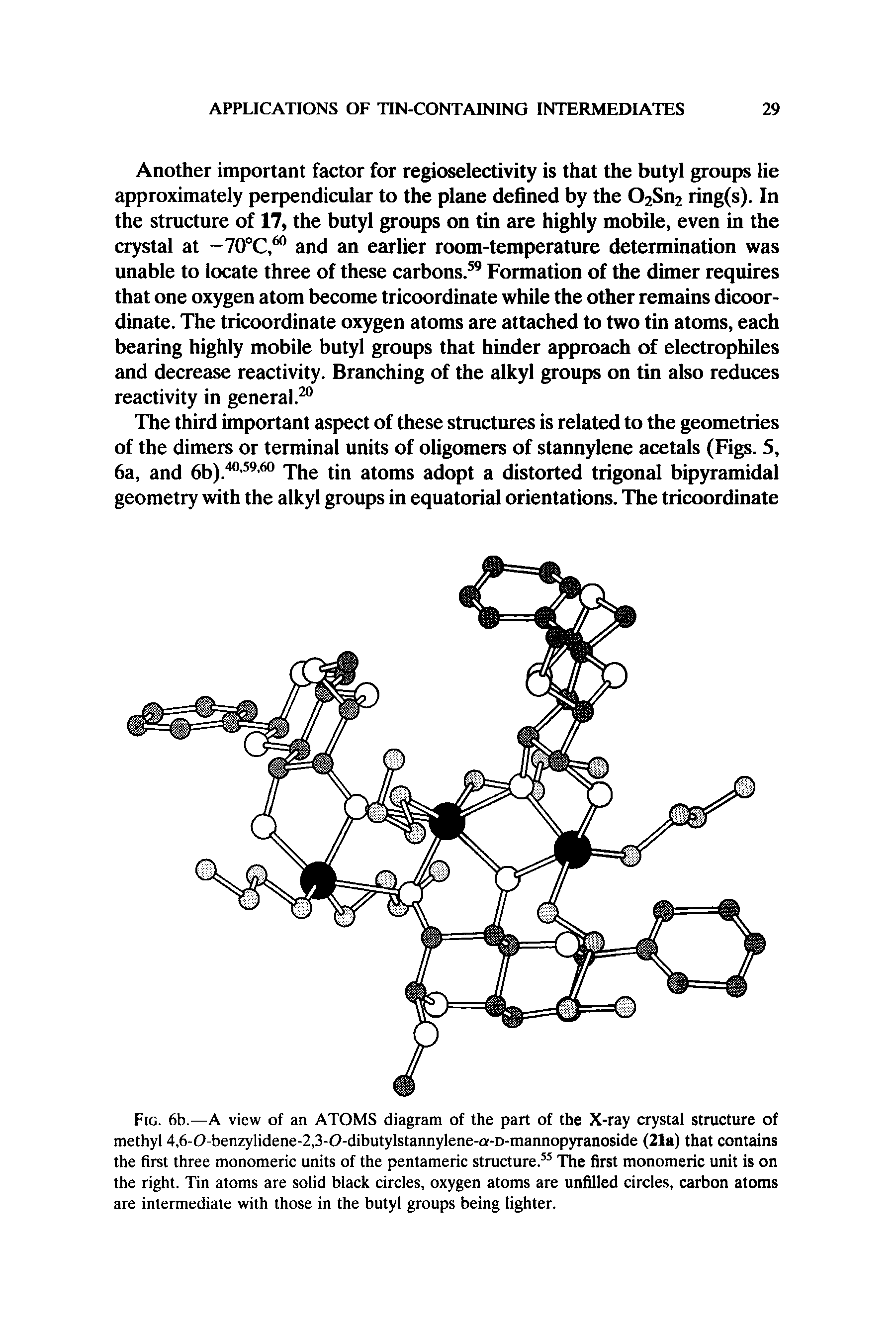 Fig. 6b.—A view of an ATOMS diagram of the part of the X-ray crystal structure of methyl 4,6-0-benzylidene-2,3-0-dibutylstannylene-a-D-mannopyranoside (21a) that contains the first three monomeric units of the pentameric structure.55 The first monomeric unit is on the right. Tin atoms are solid black circles, oxygen atoms are unfilled circles, carbon atoms are intermediate with those in the butyl groups being lighter.