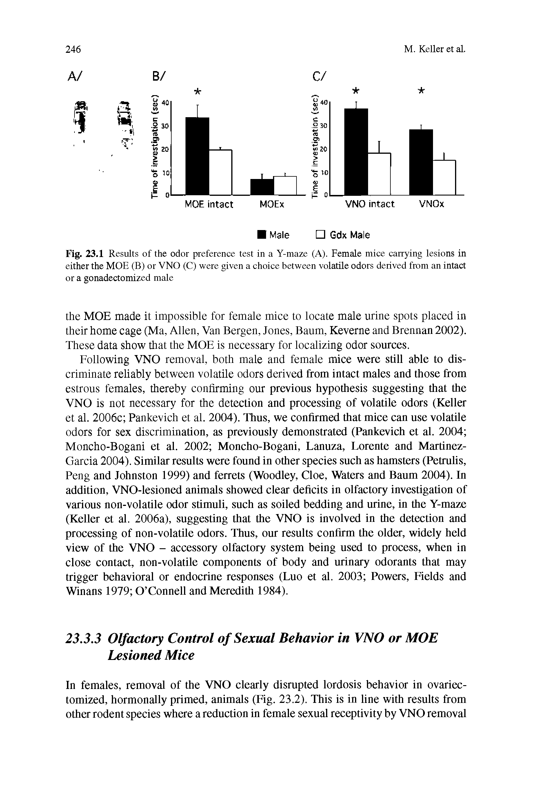 Fig. 23.1 Results of the odor preference test in a Y-maze (A). Female mice carrying lesions in either the MOE (B) or VNO (C) were given a choice between volatile odors derived from an intact or a gonadectomized male...