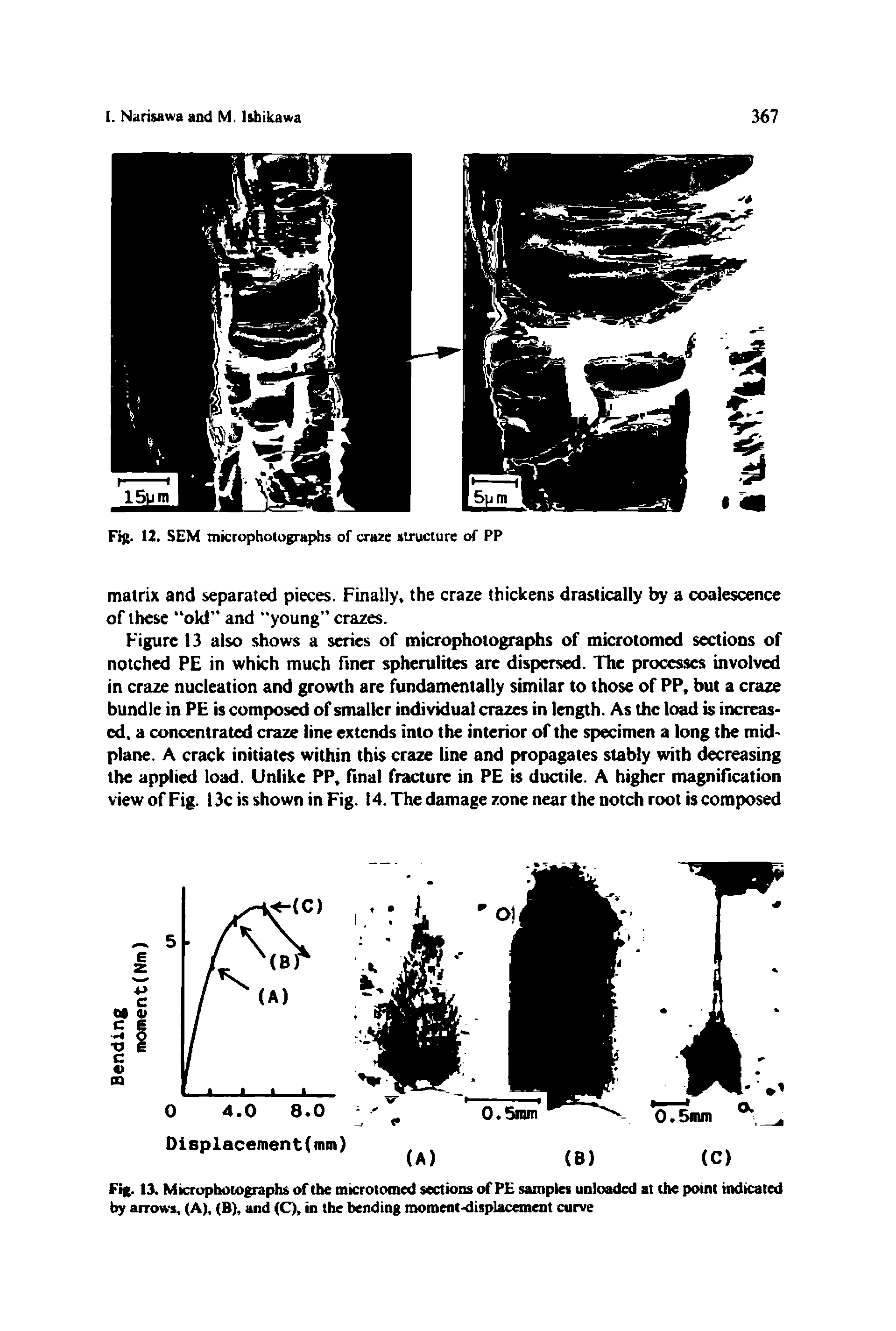 Figure 13 also shows a series of microphotographs of microtomed sections of notched PE in which much finer sphcrulites arc dispersed. The processes involved in craze nucleation and growth are fundamentally similar to those of PP, but a craze bundle in PE is composed of smaller individual crazes in length. As the load is increased, a concentrated craze line extends into the interior of the specimen a long the midplane. A crack initiates within this craze line and propagates stably with decreasing the applied load. Unlike PP. final fracture in PE is ductile. A higher magnification view of Fig. 13c is shown in Fig. 14. The damage zone near the notch root is composed...