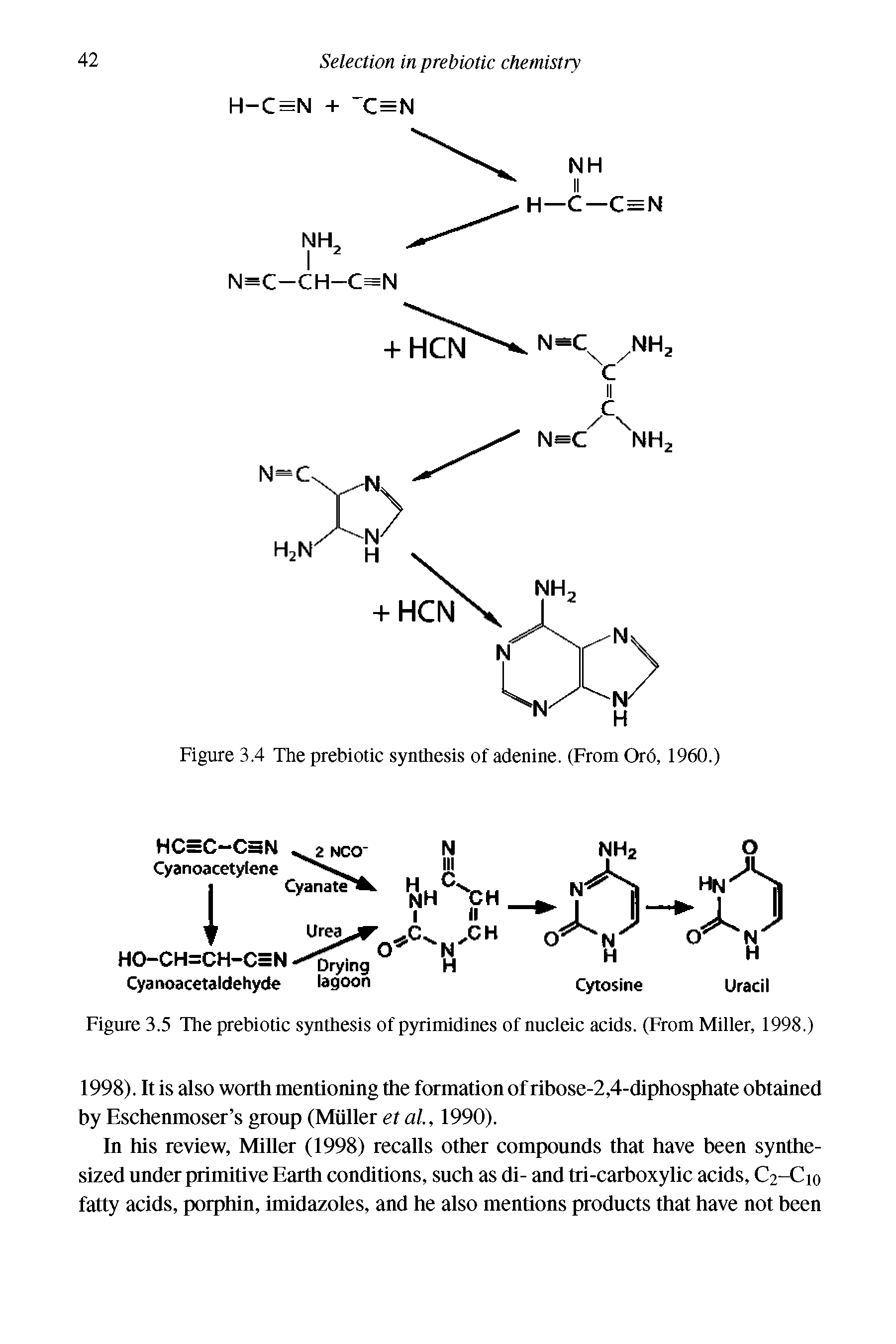 Figure 3.5 The prebiotic synthesis of pyrimidines of nucleic acids. (From Miller, 1998.)...