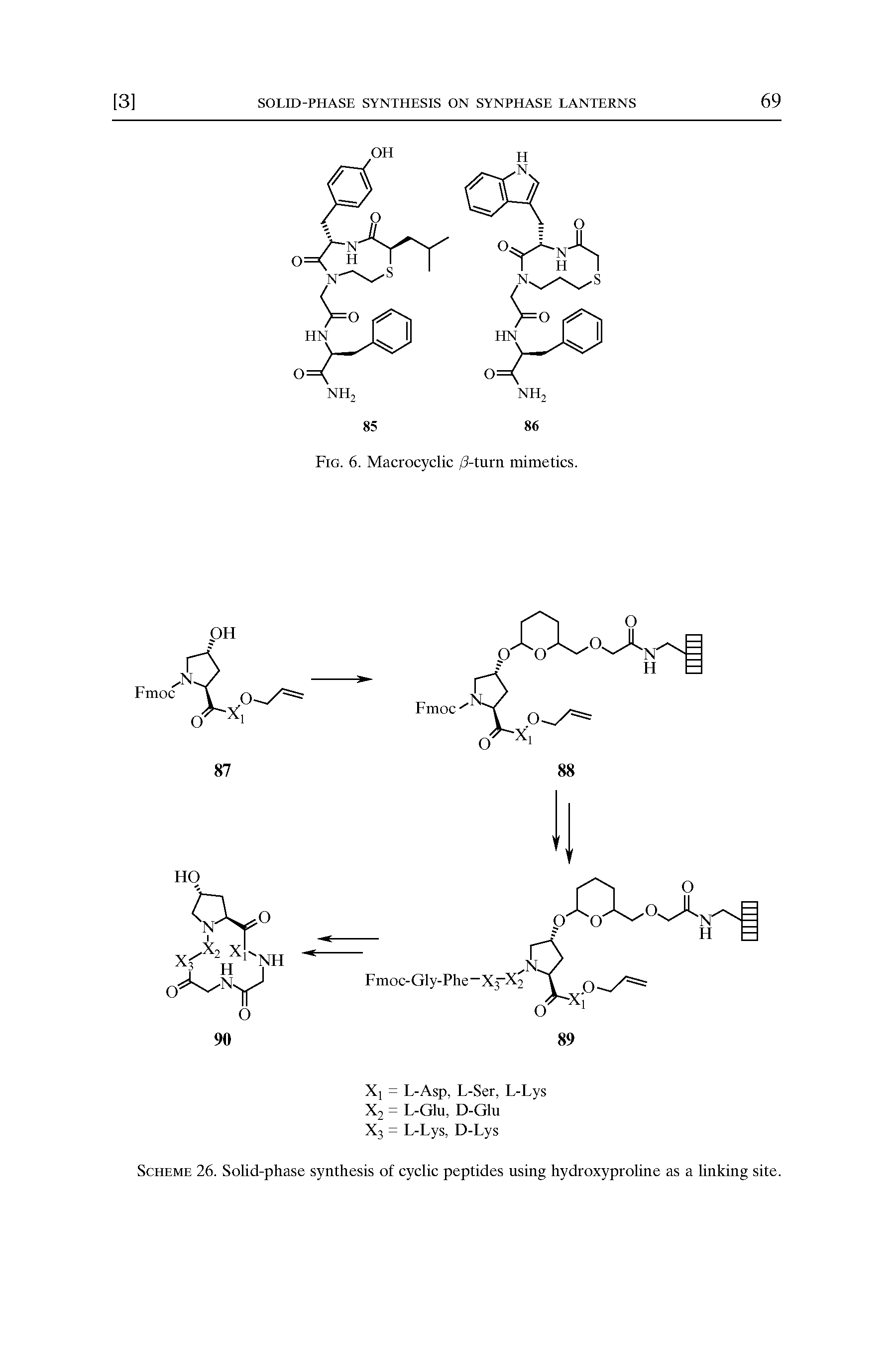 Scheme 26. Solid-phase synthesis of cyclic peptides using hydroxyproline as a linking site.