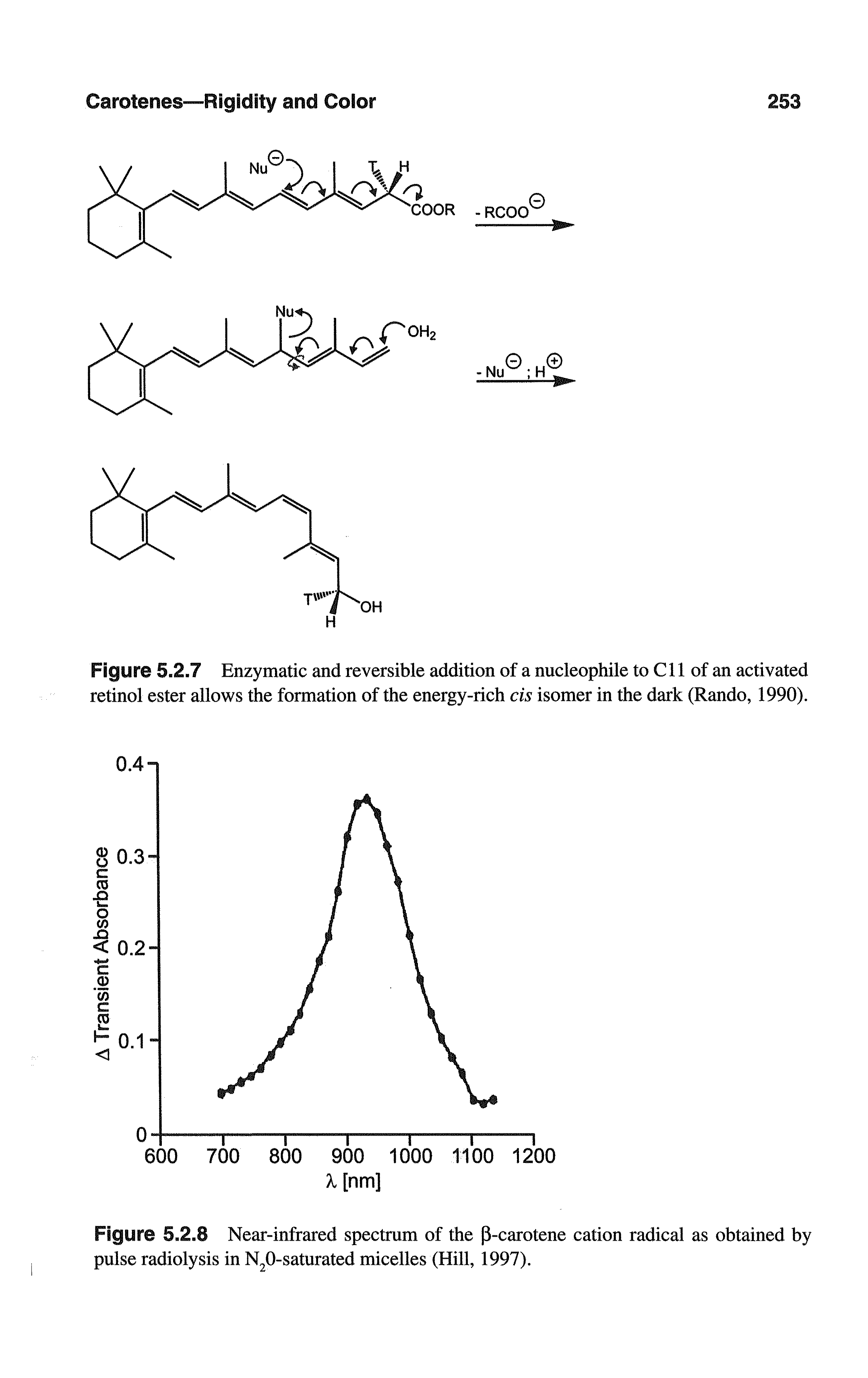 Figure 5.2.7 Enzymatic and reversible addition of a nucleophile to Cll of an activated retinol ester allows the formation of the energy-rich cis isomer in the dark (Rando, 1990).