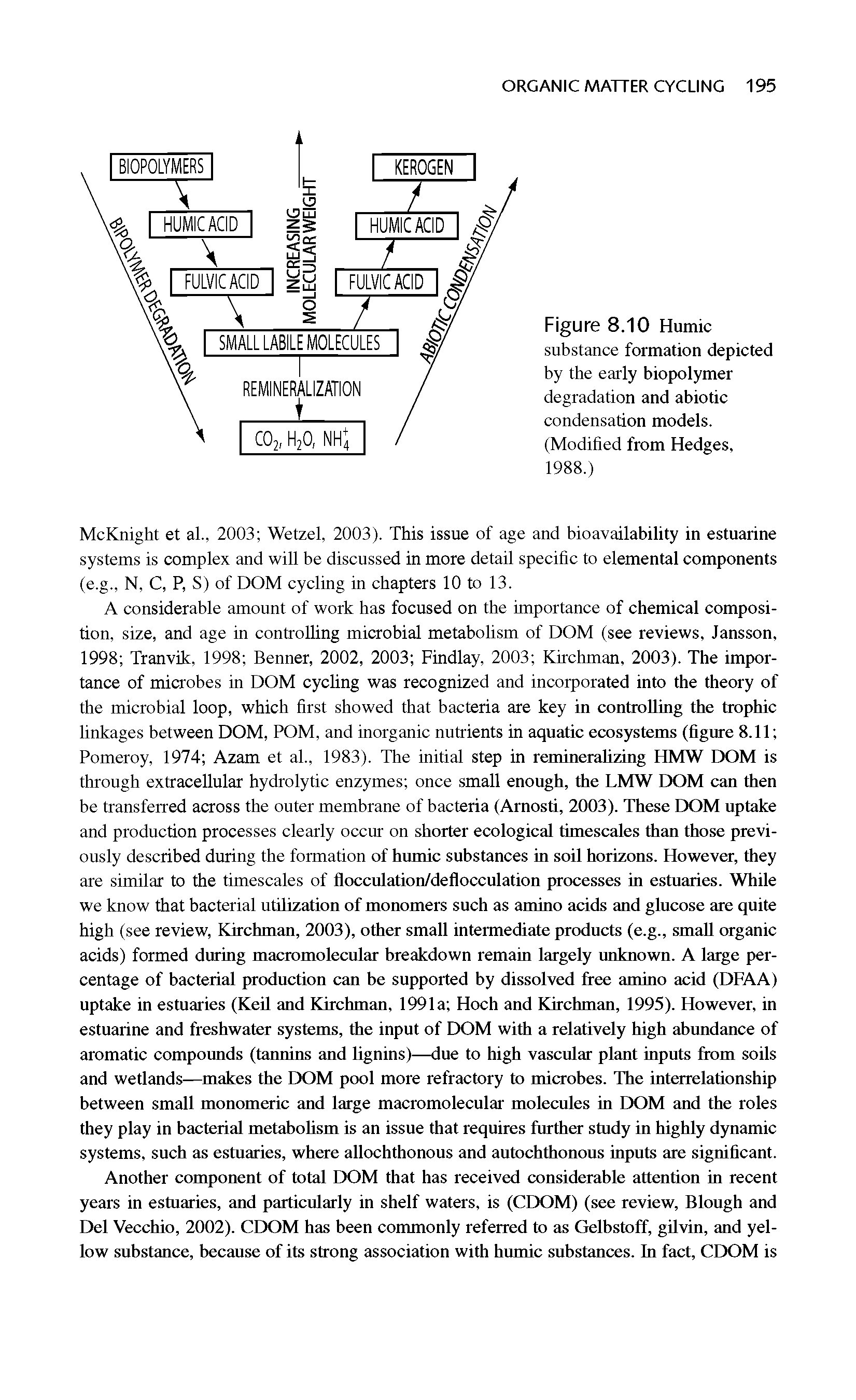 Figure 8.10 Humic substance formation depicted by the early biopolymer degradation and abiotic condensation models. (Modified from Hedges, 1988.)...