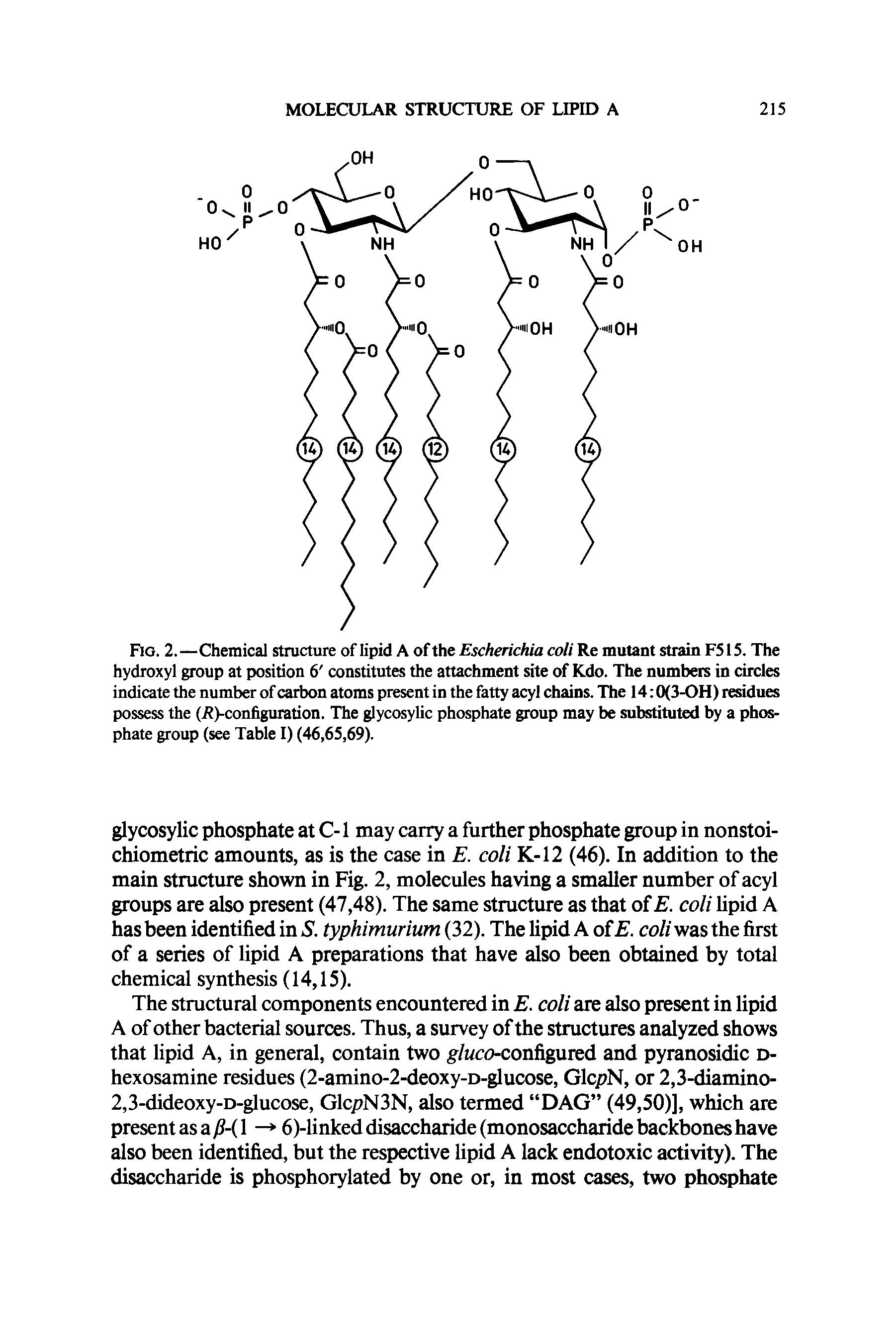 Fig. 2.—Chemical structure of lipid A of the Escherichia coli Re mutant strain F515. The hydroxyl group at position 6 constitutes the attachment site of Kdo. The numbers in circles indicate the number of carbon atoms present in the fatty acyl chains. The 14 0(3-OH) residues possess the (Reconfiguration. The glycosylic phosphate group may be substituted by a phosphate group (see Table I) (46,65,69).