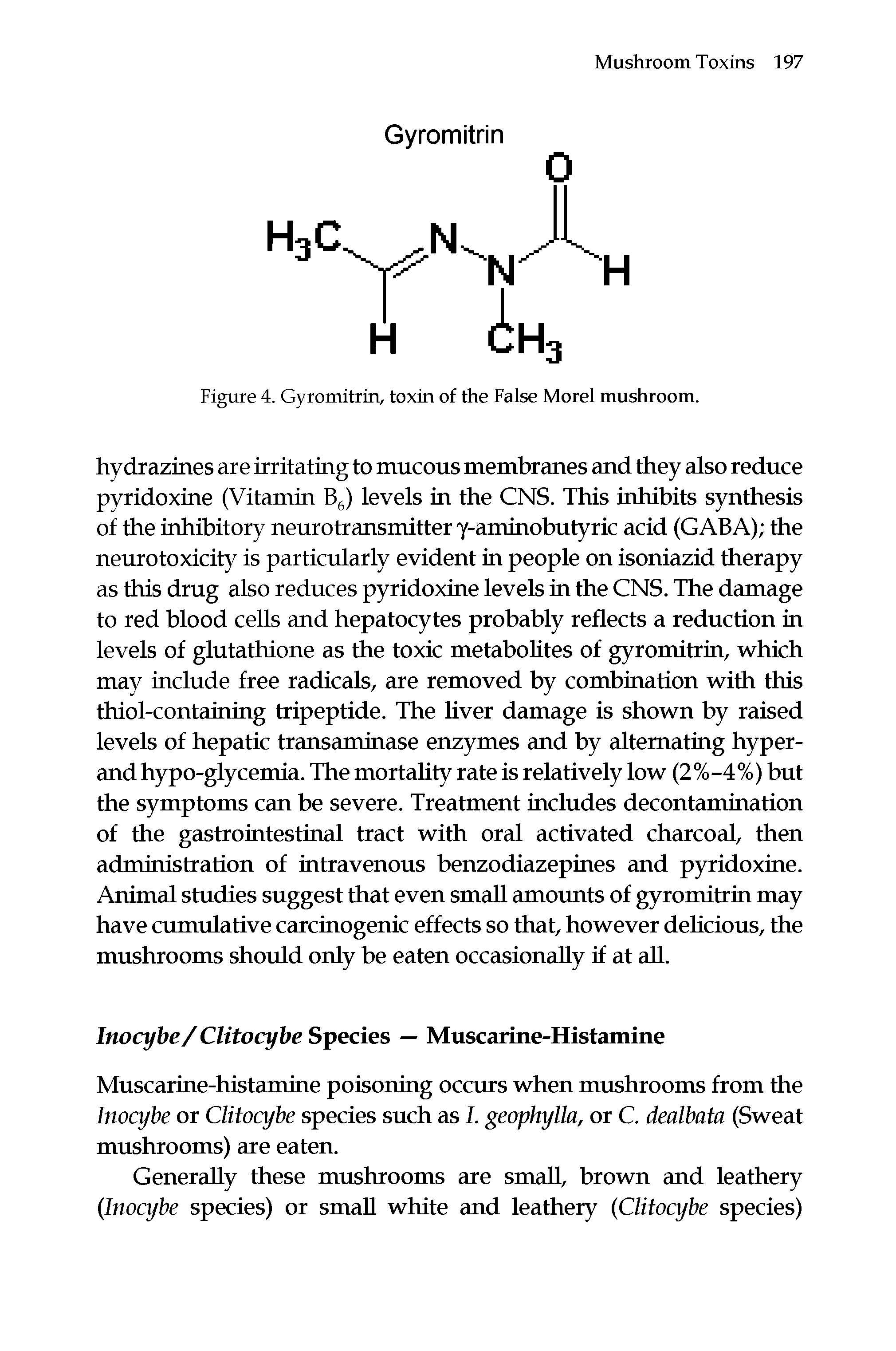 Figure 4. Gyromitrin, toxin of the False Morel mushroom.
