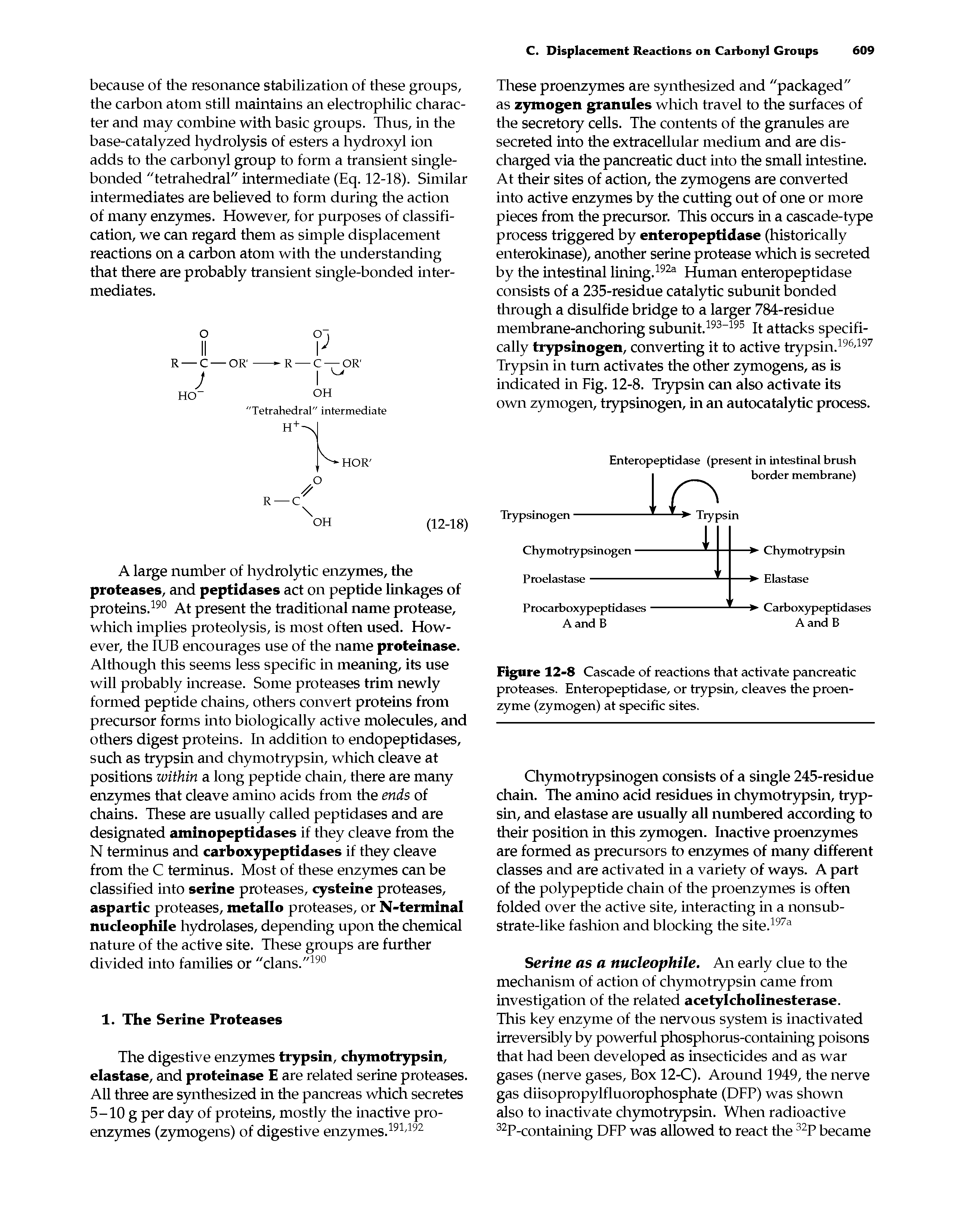 Figure 12-8 Cascade of reactions that activate pancreatic proteases. Enteropeptidase, or trypsin, cleaves the proenzyme (zymogen) at specific sites.