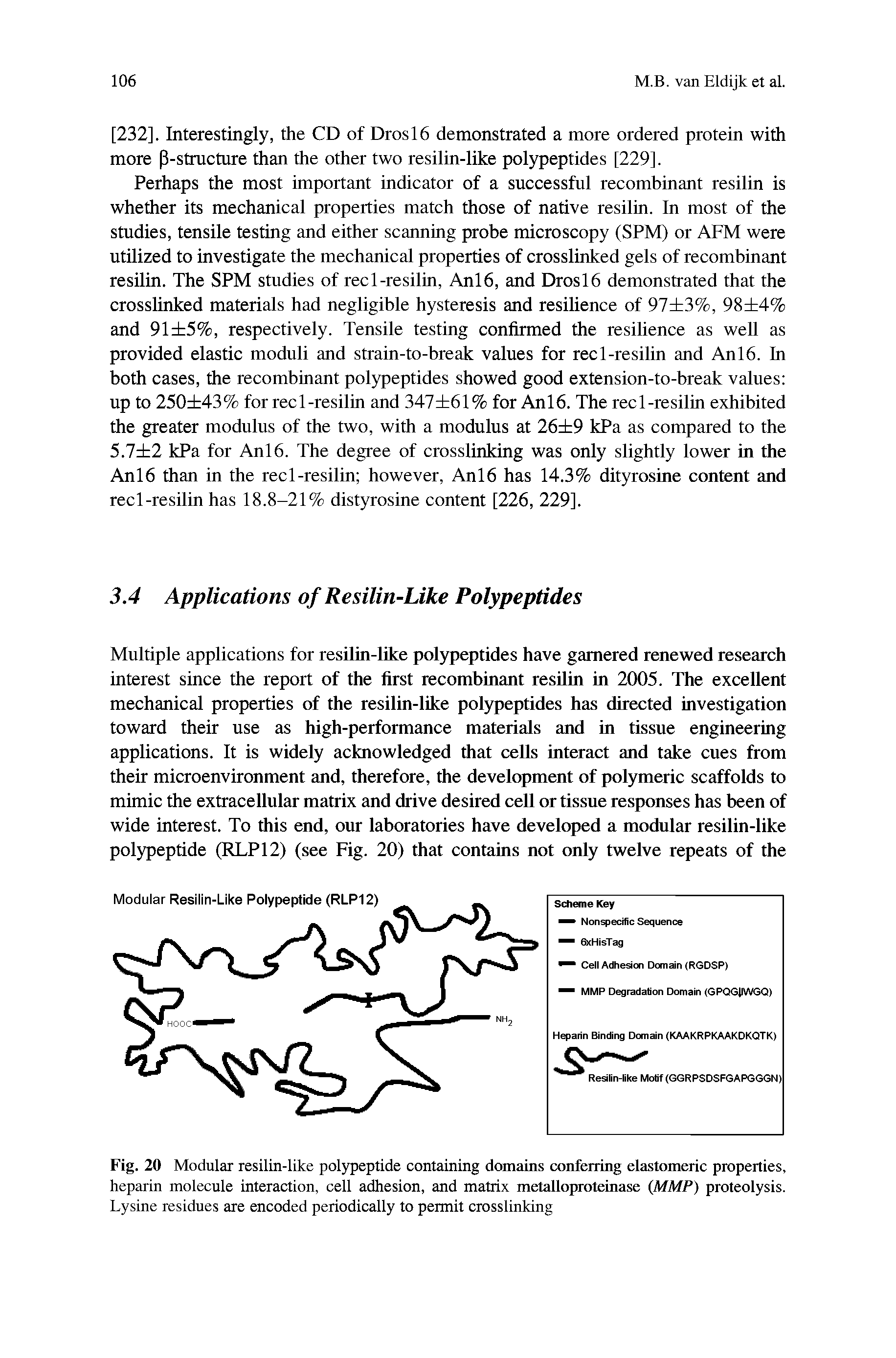 Fig. 20 Modular resilin-like polypeptide containing domains conferring elastomeric properties, heparin molecule interaction, cell adhesion, and matrix metalloproteinase (MMP) proteolysis. Lysine residues are encoded periodically to permit crosslinking...