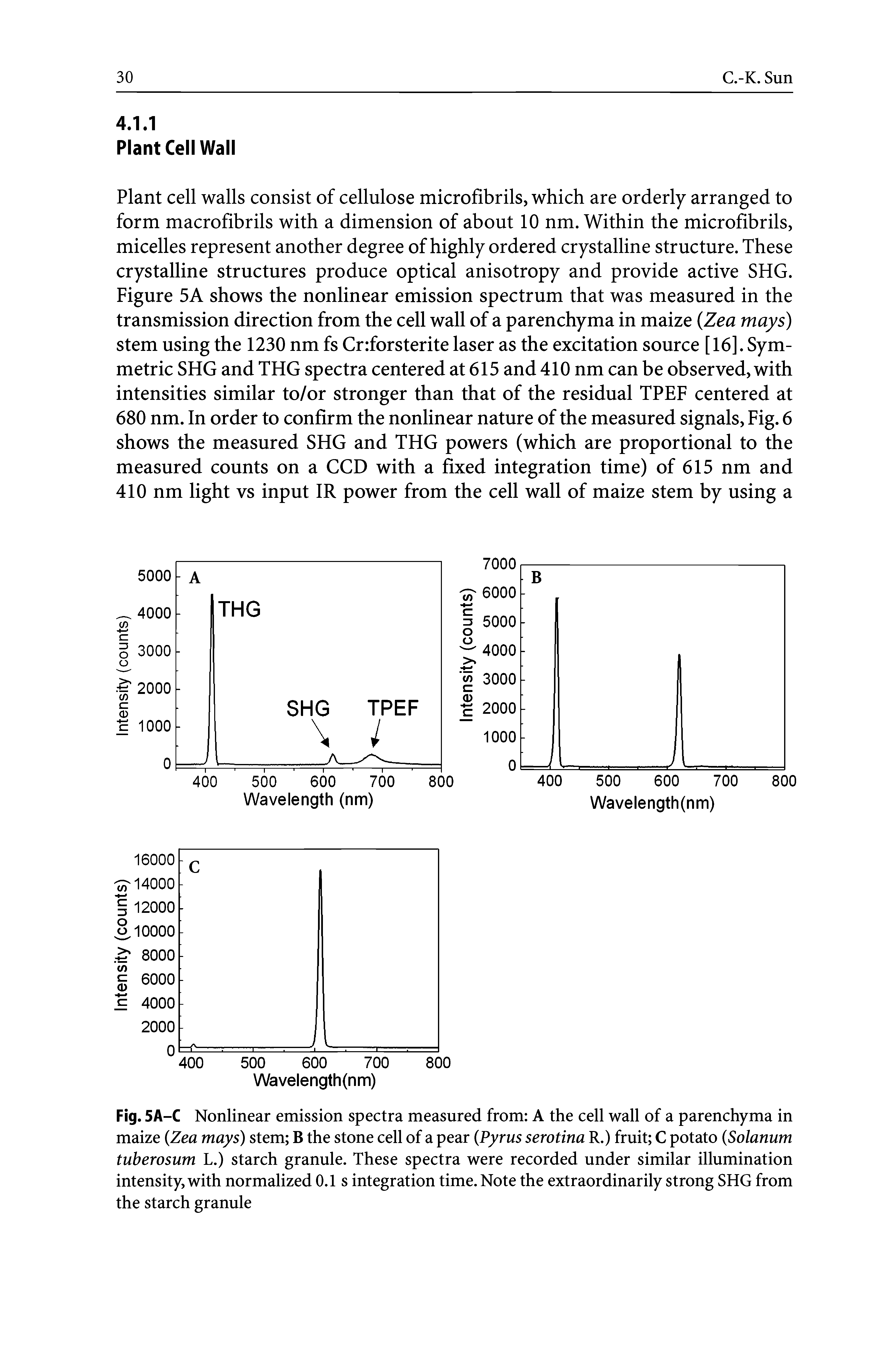 Fig. 5A-C Nonlinear emission spectra measured from A the cell wall of a parenchyma in maize Zea mays) stem B the stone cell of a pear Pyrus serotina R.) fruit C potato Solarium tuberosum L.) starch granule. These spectra were recorded under similar illumination intensity, with normalized 0.1 s integration time. Note the extraordinarily strong SHG from the starch granule...