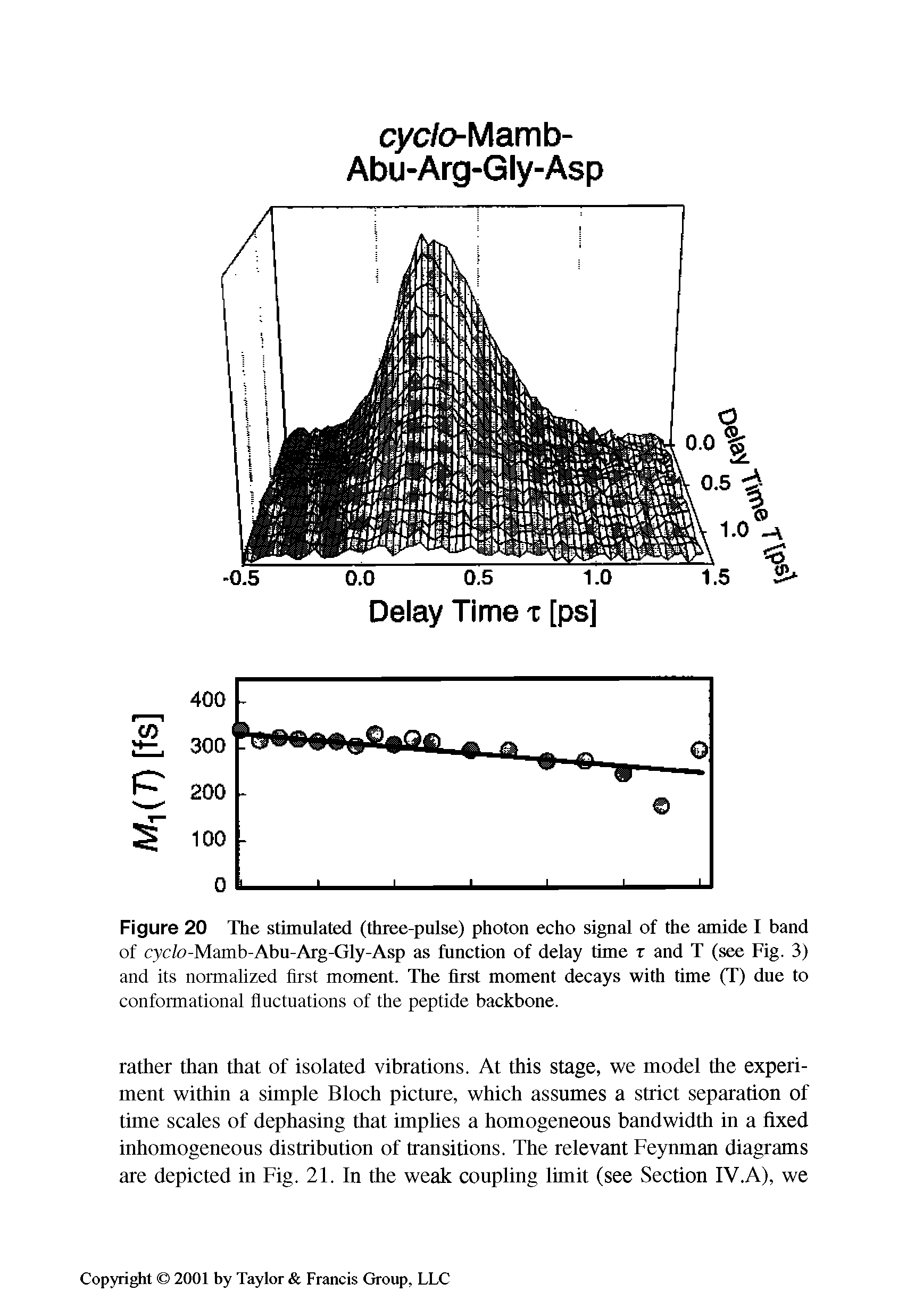 Figure 20 The stimulated (three-pulse) photon echo signal of the amide I band of cyc/o-Mamb-Abu-Arg-Gly-Asp as function of delay time r and T (see Fig. 3) and its normalized first moment. The first moment decays with time (T) due to...