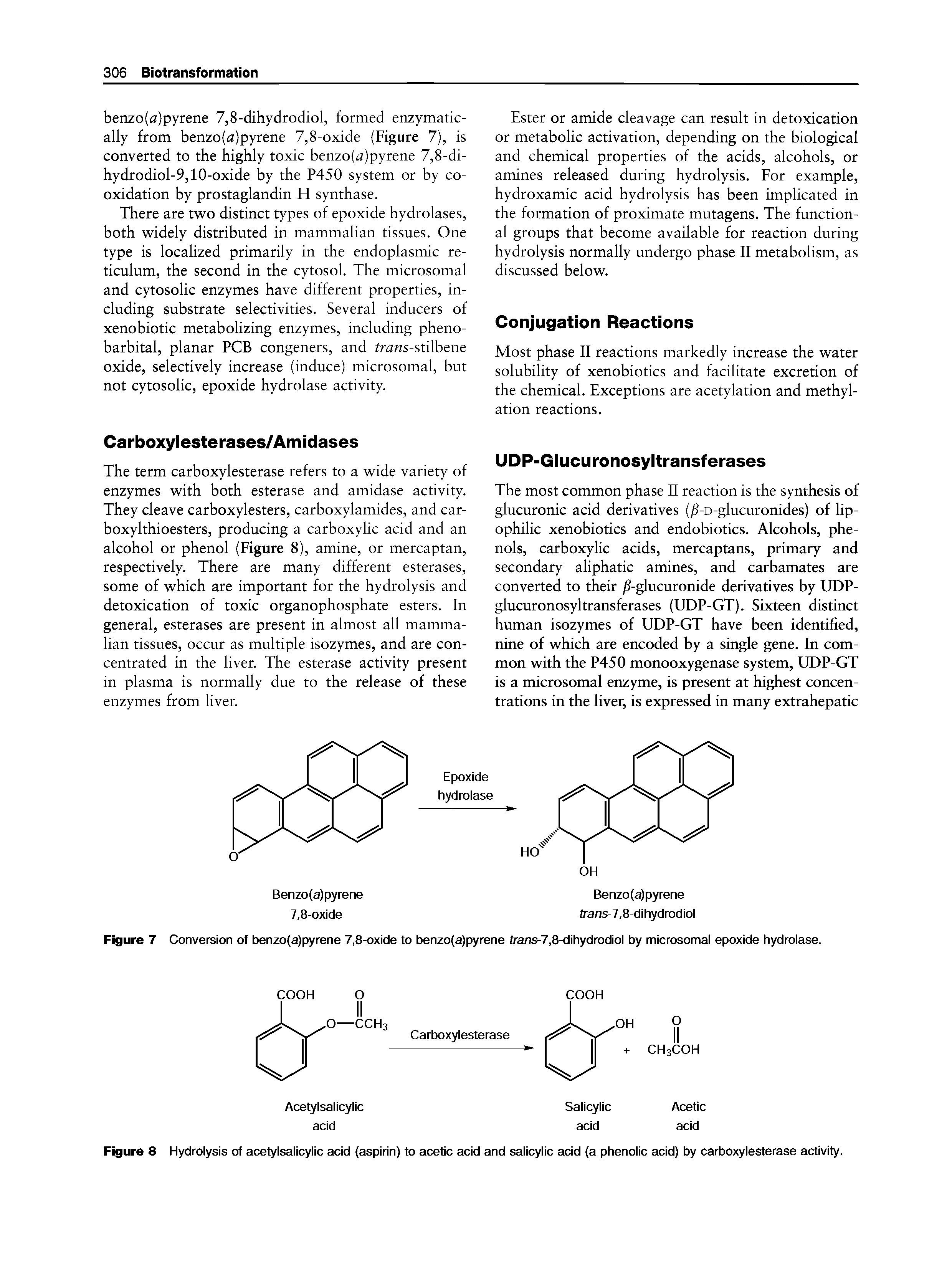 Figure 8 Hydrolysis of acetylsalicylic acid (aspirin) to acetic acid and salicylic acid (a phenolic acid) by carboxylesterase activity.