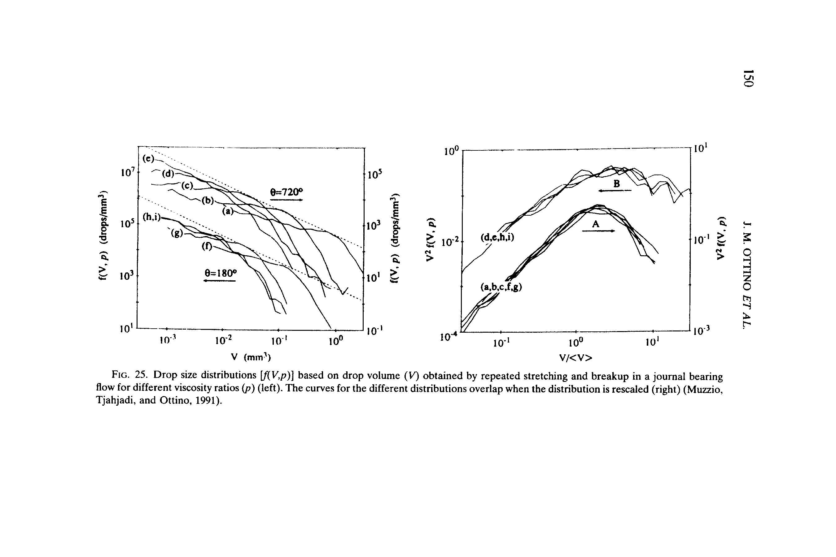 Fig. 25. Drop size distributions f(V,p)] based on drop volume (V) obtained by repeated stretching and breakup in a journal bearing flow for different viscosity ratios (p) (left). The curves for the different distributions overlap when the distribution is rescaled (right) (Muzzio, Tjahjadi, and Ottino, 1991).
