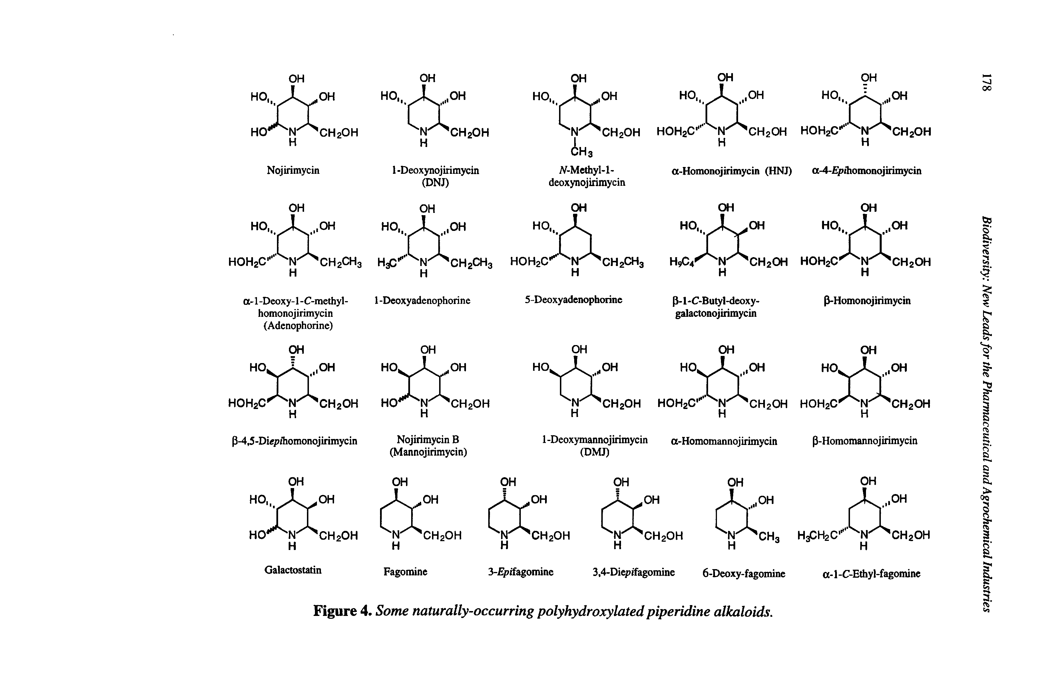Figure 4. Some naturally-occurring polyhydroxylated piperidine alkaloids.
