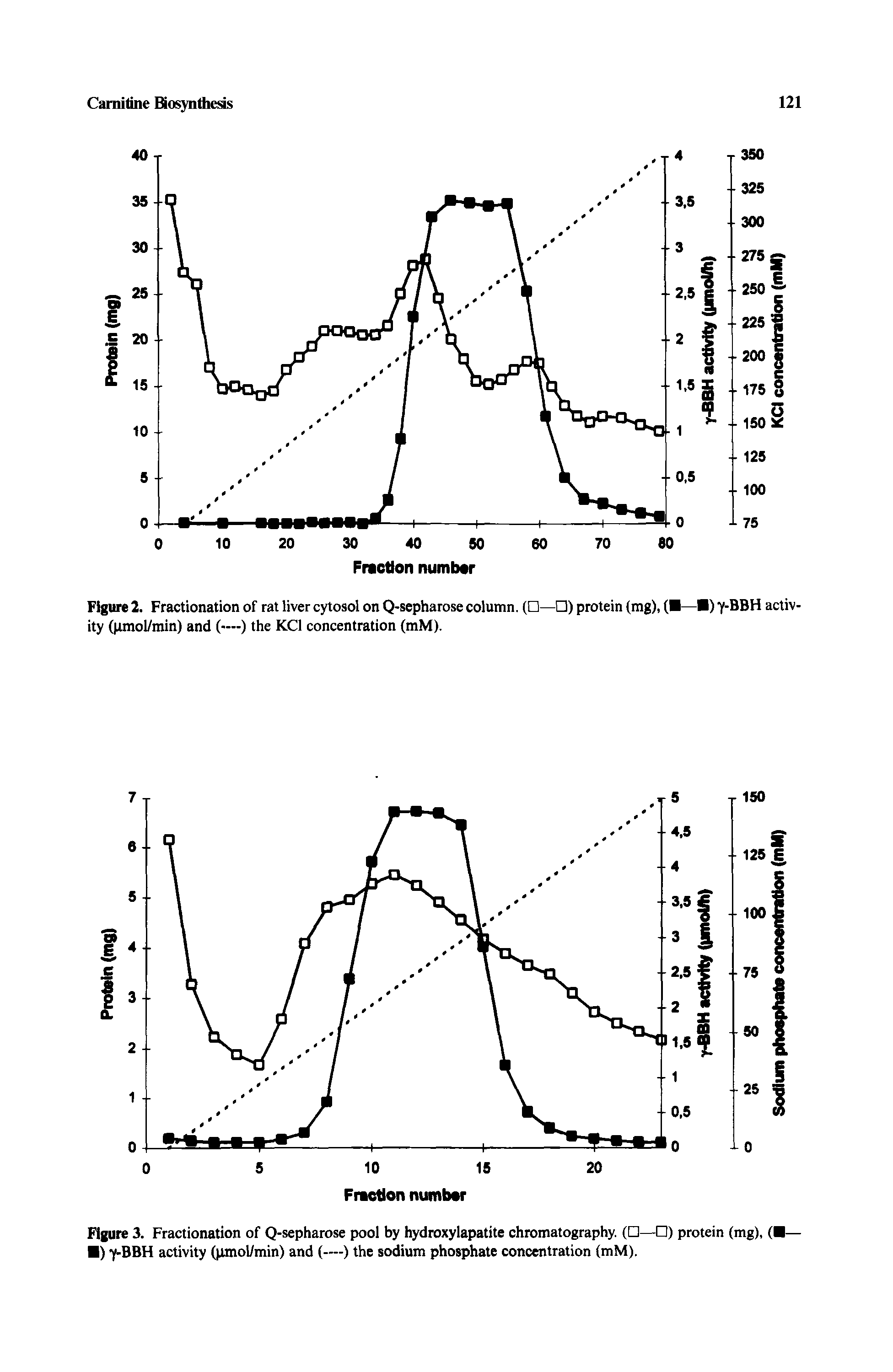 Figure 3. Fractionation of Q-sepharose pool by hydroxylapatite chromatography. ( — ) protein (mg), ( — ) Y-BBH activity (pmol/min) and (—) the sodium phosphate concentration (mM).