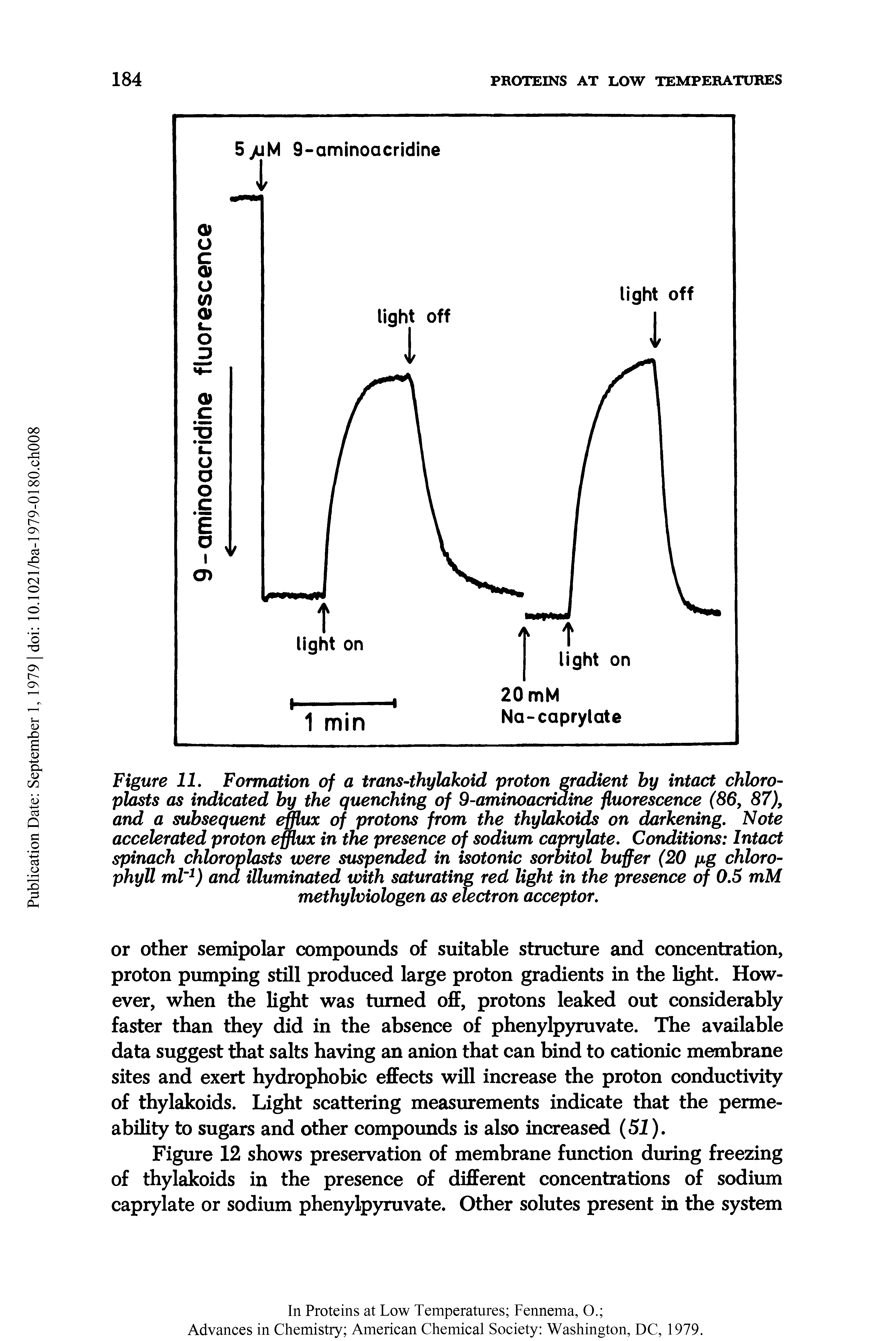 Figure II. Formation of a trans-thylakoid proton gradient by intact chloro-plasts as indicated by the quenching of 9-aminoacnaine fluorescence (86, 87), and a subsequent efflux of protons from the thylakoids on darkening. Note accelerated proton efflux in the presence of sodium caprylate. Conditions Intact spinach chloroplasts were suspended in isotonic sorbitol buffer (20 /xg chlorophyll ml 1) ana illuminated with saturating red light in the presence of 0.5 mM methylviologen as electron acceptor.