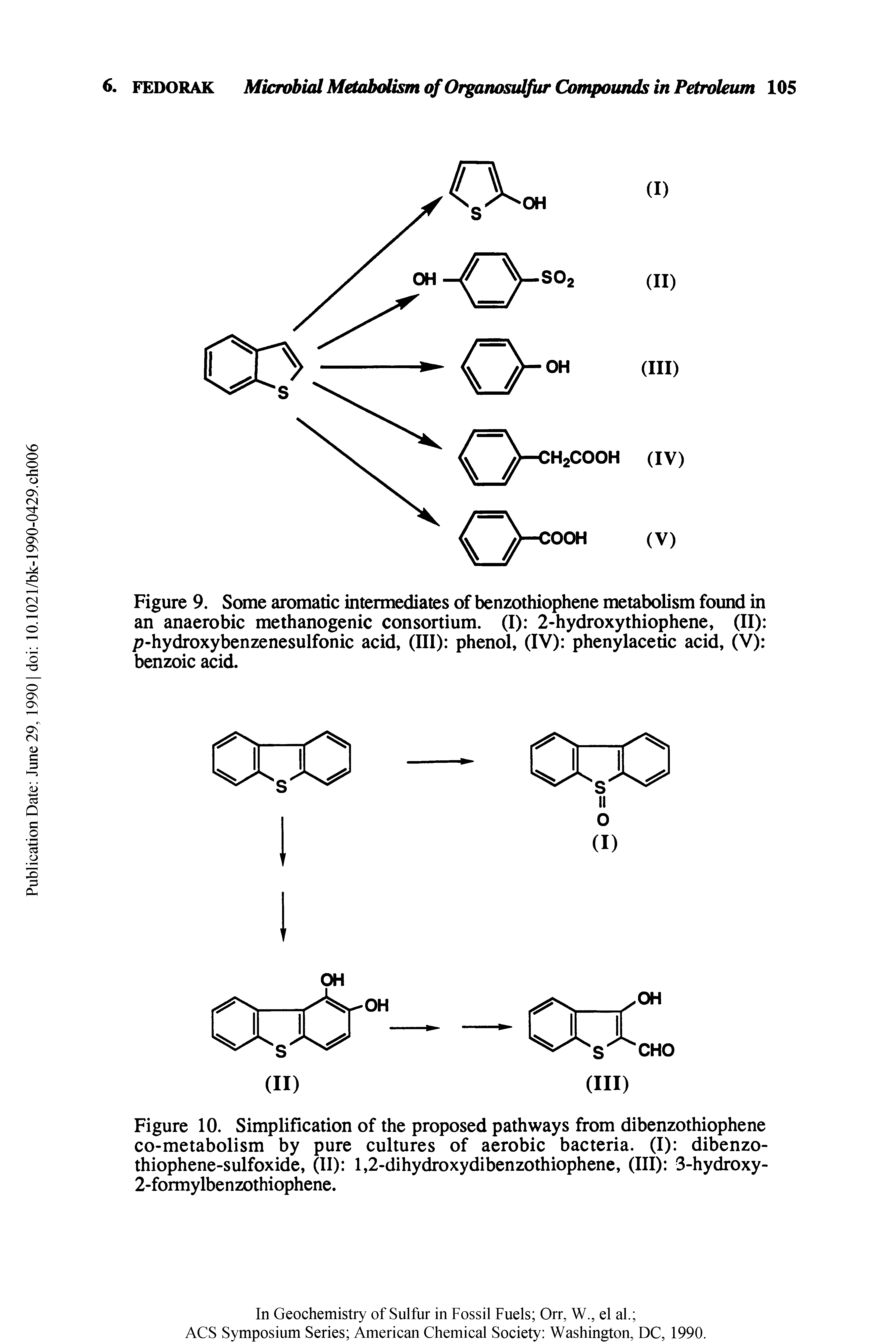 Figure 10. Simplification of the proposed pathways from dibenzothiophene co-metabolism by pure cultures of aerobic bacteria. (I) dibenzo-thiophene-sulfoxide, (II) 1,2-dihydroxydibenzothiophene, (III) 3-hydroxy-2-formylbenzothiophene.
