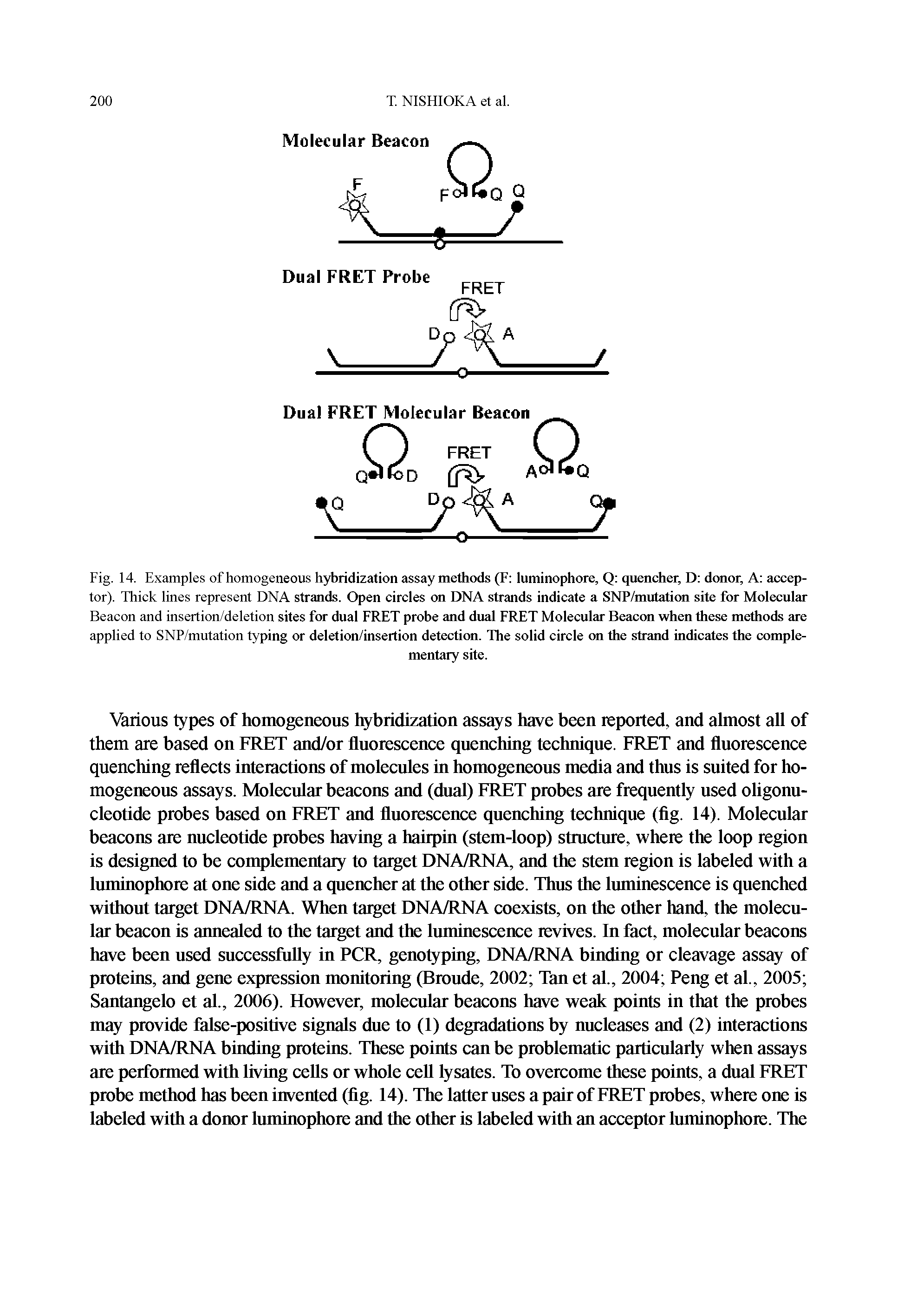 Fig. 14. Examples of homogeneous hybridization assay methods (F luminophore, Q quencher, D donor, A acceptor). Thick lines represent DNA strands. Open circles on DNA strands indicate a SNP/mutation site for Molecular Beacon and insertion/deletion sites for dual FRET probe and dual FRET Molecular Beacon when these methods are applied to SNP/mutation typing or deletion/insertion detection. The solid circle on die strand indicates the complementary site.