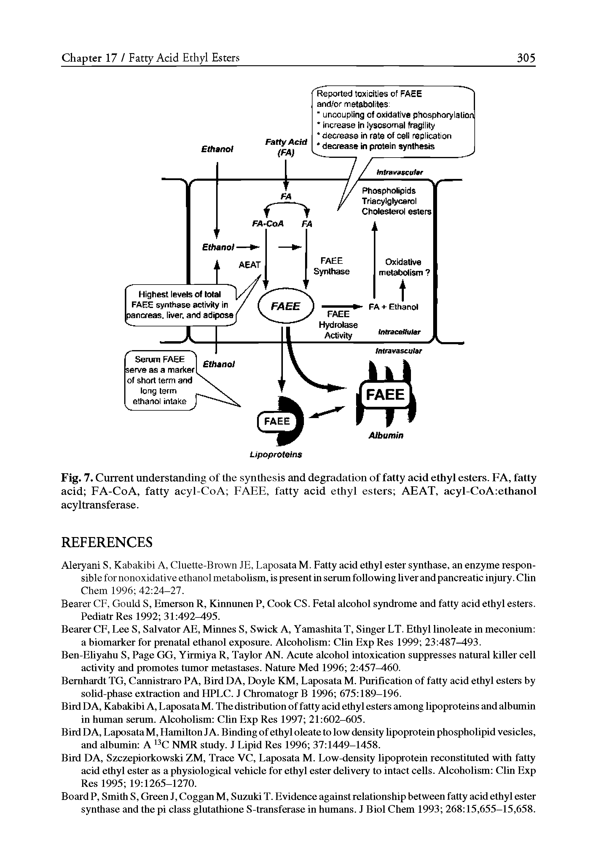 Fig. 7. Current understanding of the synthesis and degradation of fatty acid ethyl esters. FA, fatty acid FA-CoA, fatty acyl-CoA FAEE, fatty acid ethyl esters AEAT, acyl-CoA ethanol acyltransferase.