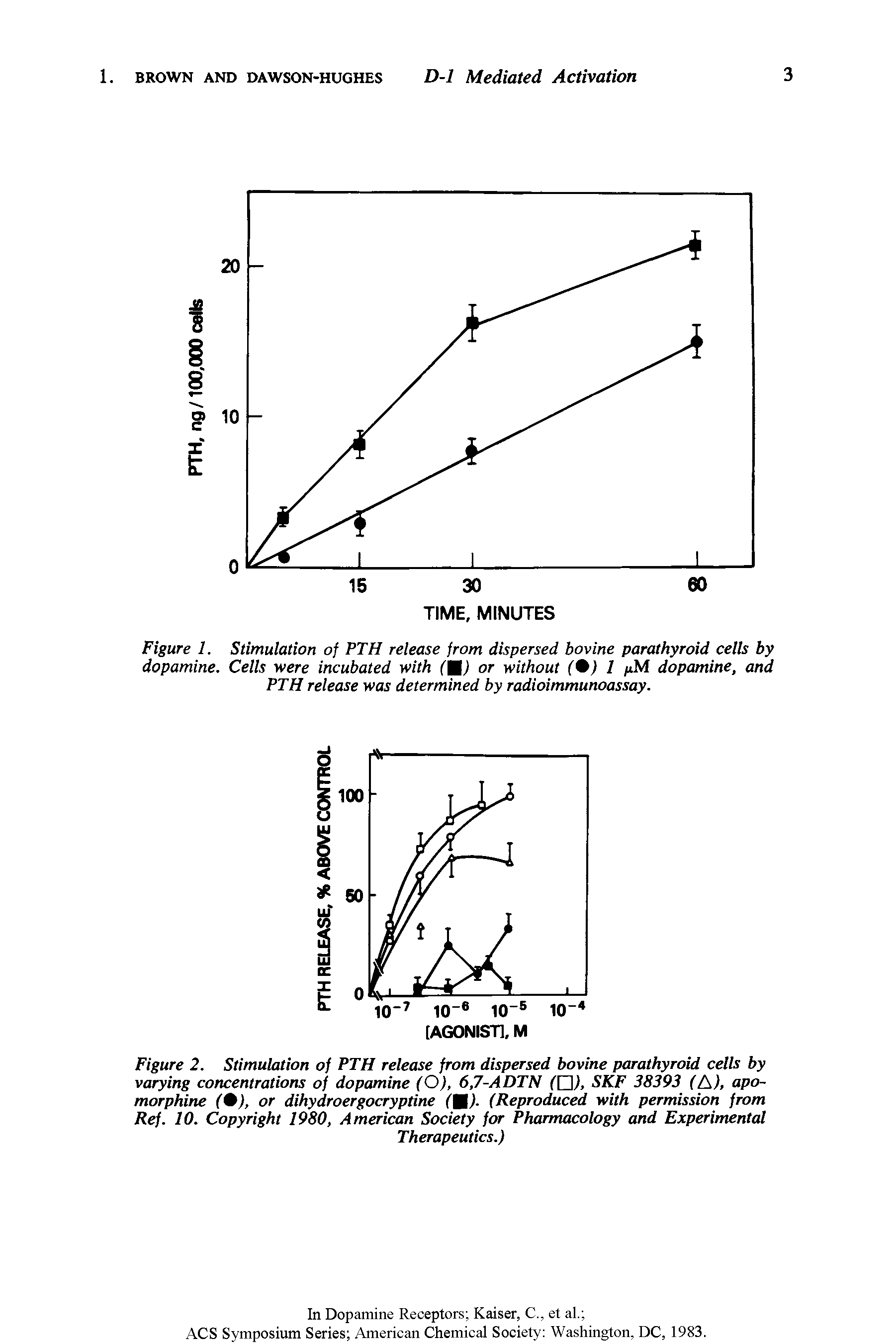 Figure 1. Stimulation of PTH release from dispersed bovine parathyroid cells by dopamine. Cells were incubated with (M) or without ( j 1 /tM dopamine, and PTH release was determined by radioimmunoassay.