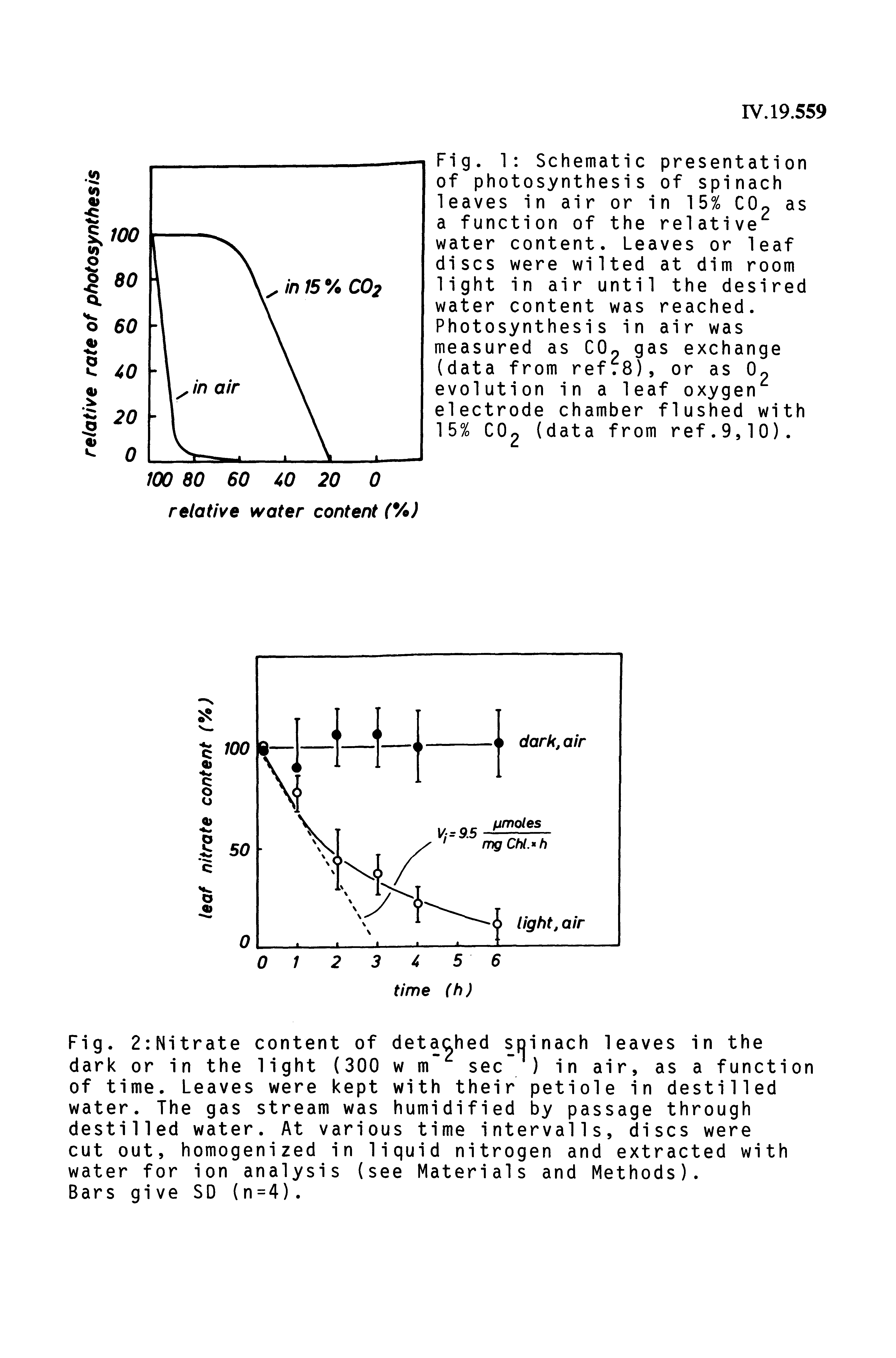 Fig. 1 Schematic presentation of photosynthesis of spinach leaves in air or in 155 CO as a function of the relative water content. Leaves or leaf discs were wilted at dim room light in air until the desired water content was reached. Photosynthesis in air was measured as C0 gas exchange (data from ref78), or as Op evolution in a leaf oxygen electrode chamber flushed with 15% CO2 (data from ref.9,10).