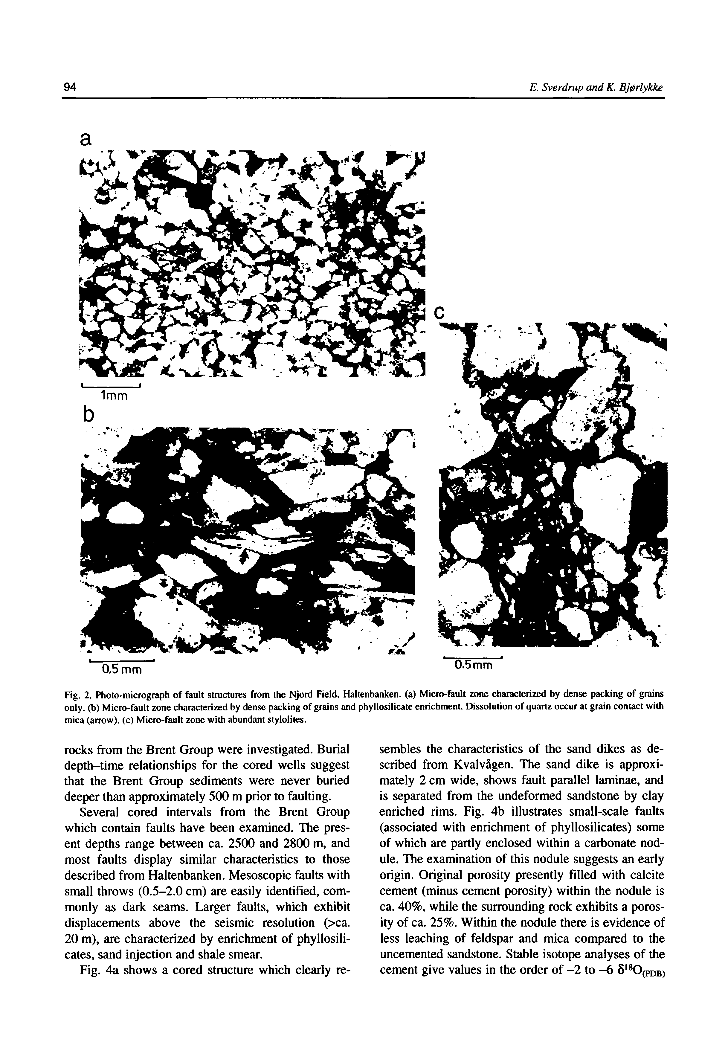 Fig. 2. Photo-micrograph of fault structures from the Njord Field, Haltenbanken. (a) Micro-fault zone characterized by dense packing of grains only, (b) Micro-fault zone characterized by dense packing of grains and phyllosilicate enrichment. Dissolution of quartz occur at grain contact with mica (arrow), (c) Micro-fault zone with abundant stylolites.