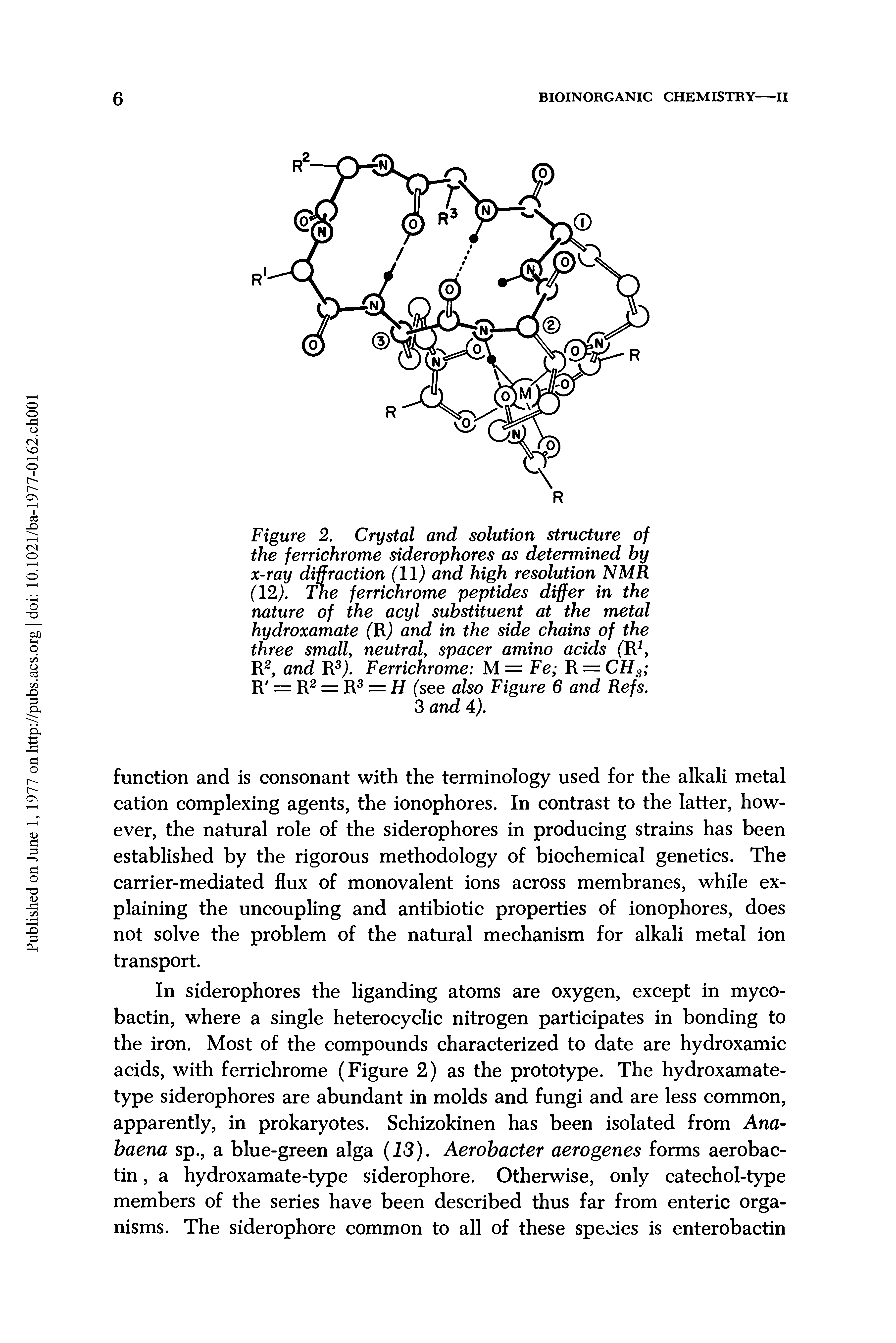 Figure 2. Crystal and solution structure of the ferrichrome siderophores as determined by x-ray diffraction (11) and high resolution NMR (12). The ferrichrome peptides differ in the nature of the acyl substituent at the metal hydroxamate (R) and in the side chains of the three small, neutral, spacer amino acids (R1, R2, and R3). Ferrichrome M = Fe R = CHa R R2 = R3 = H (see also Figure 6 and Refs.