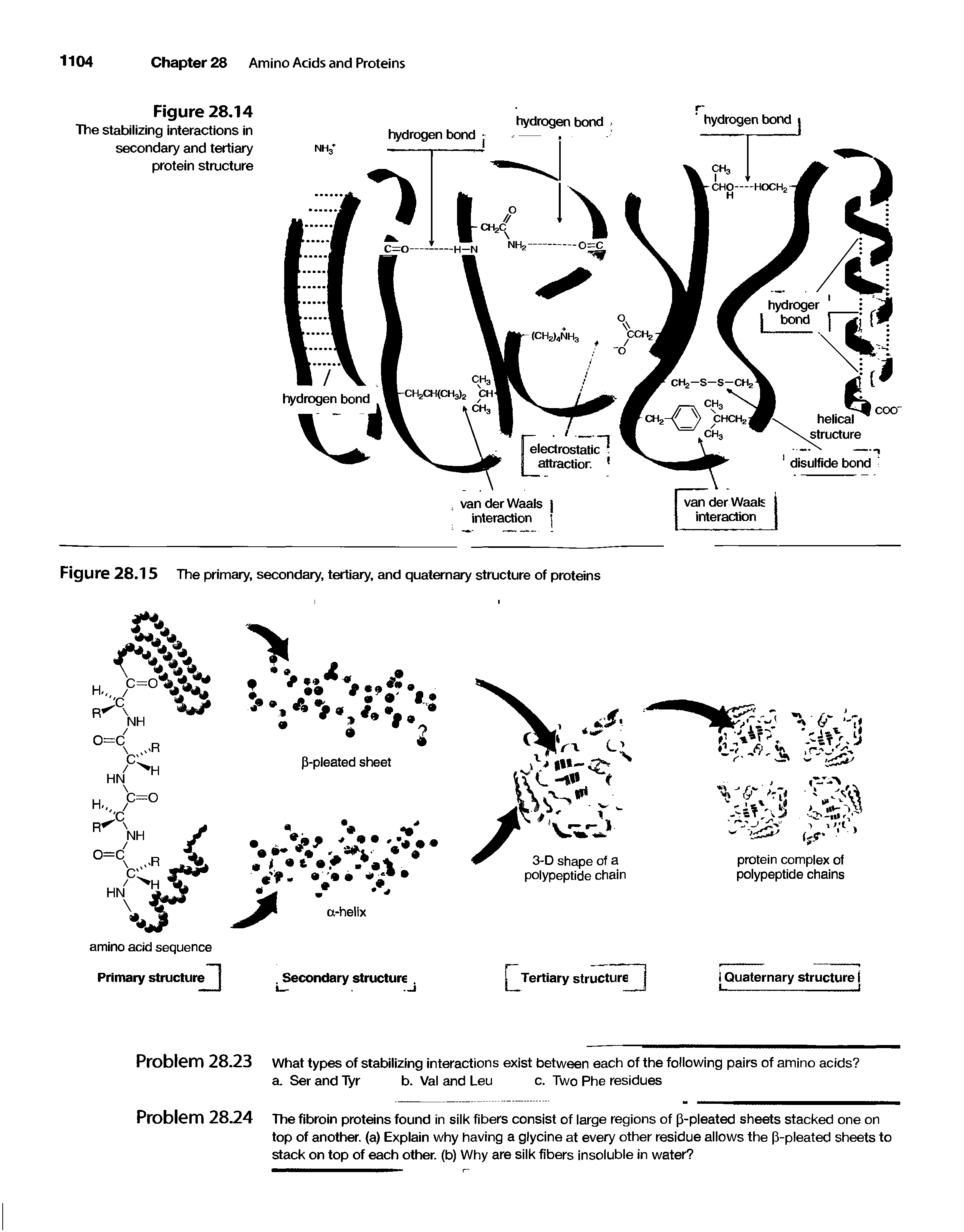 Figure 28.15 The primary, secondary, tertiary, and quaternary structure of proteins...