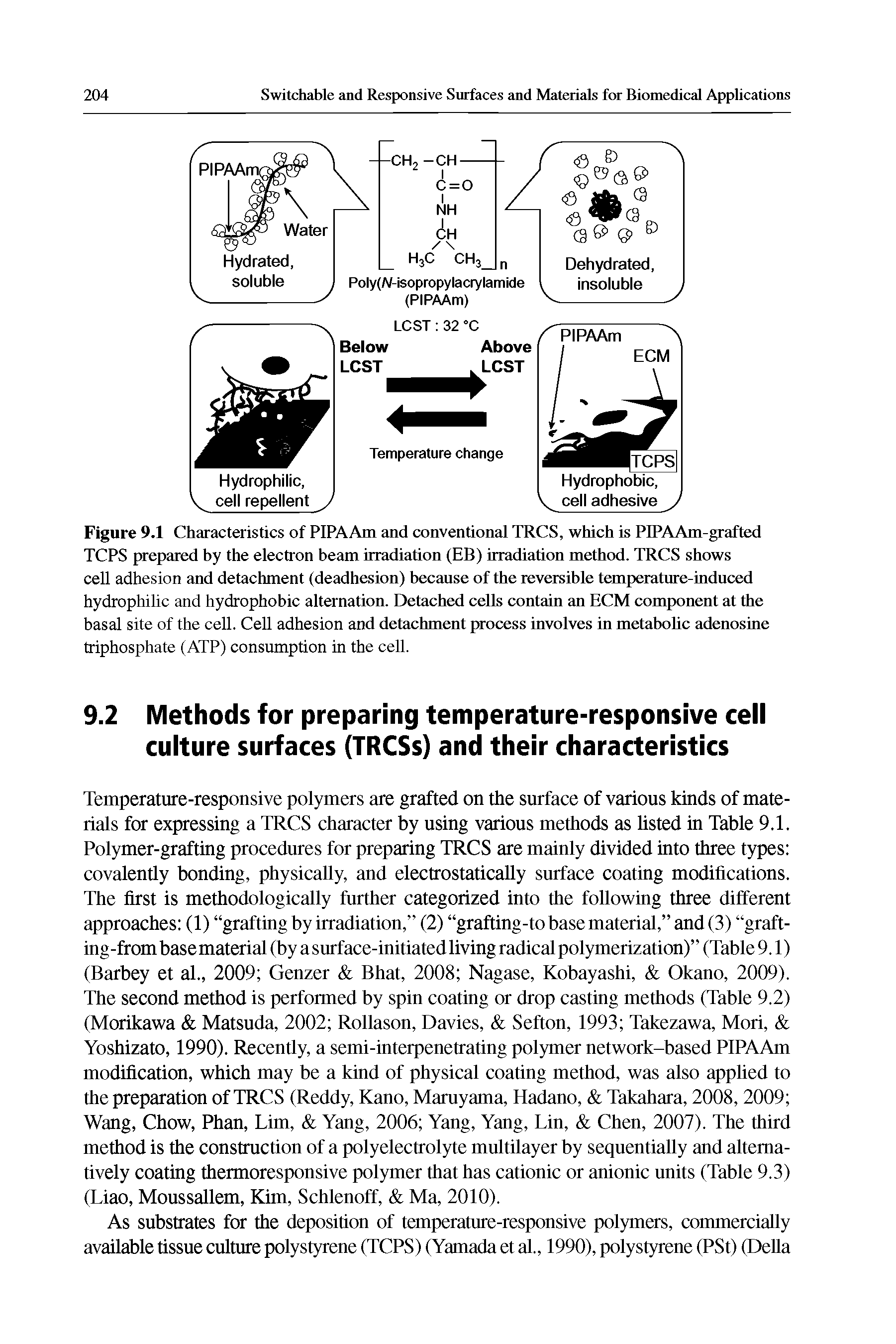 Figure 9.1 Characteristics of PIPAAm and conventional TRCS, which is PIPAAm-grafted TCPS prepared hy the electron beam irradiation (EB) irradiation method. TRCS shows cell adhesion and detachment (deadhesion) becanse of the reversible temperature-indnced hydrophilic and hydrophobic alternation. Detached cells contain an ECM component at the basal site of the cell. Cell adhesion and detachment process involves in metabohc adenosine triphosphate (ATP) consumption in the cell.