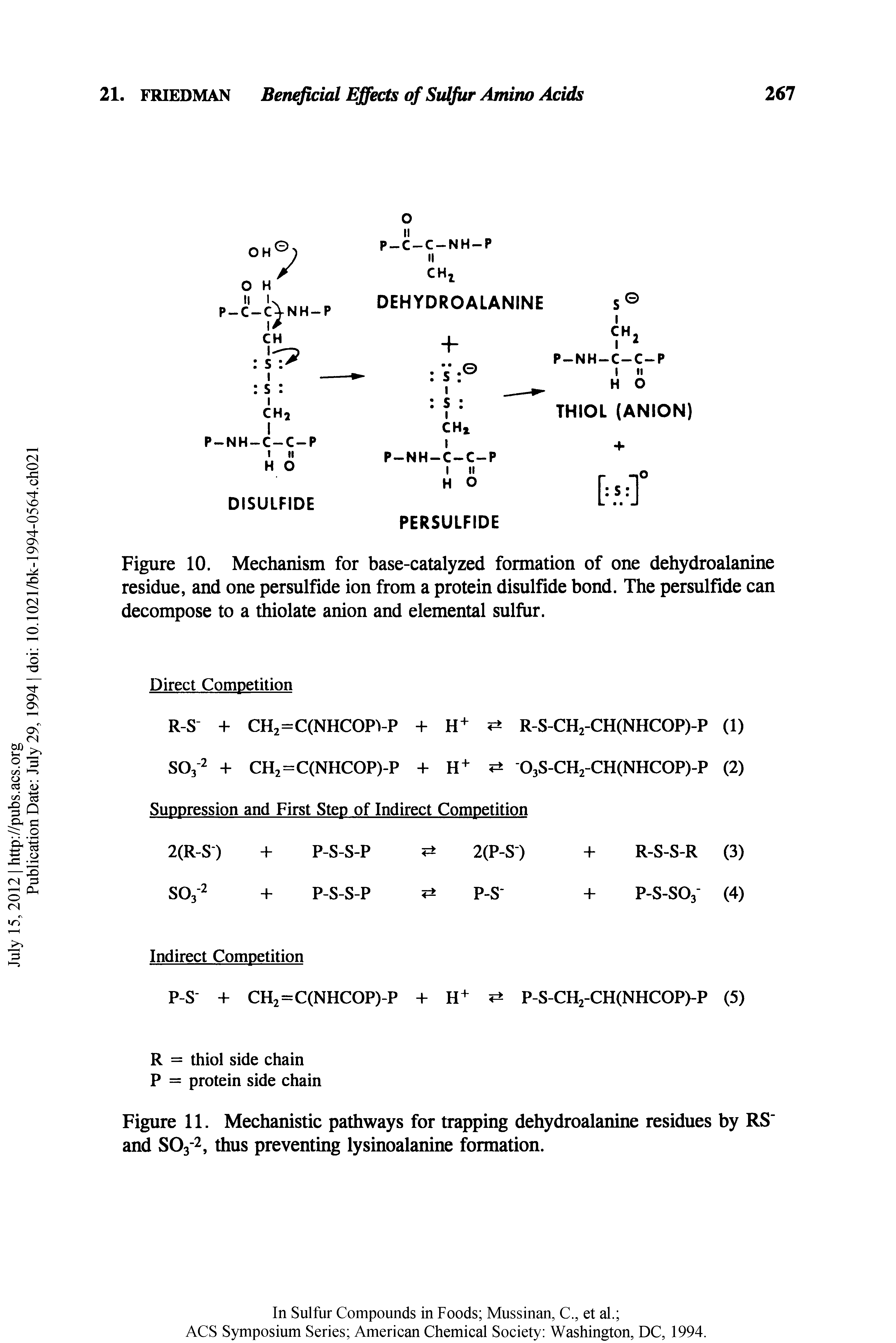 Figure 10. Mechanism for base-catalyzed formation of one dehydroalanine residue, and one persulfide ion from a protein disulfide bond. The persulfide can decompose to a thiolate anion and elemental sulfur.