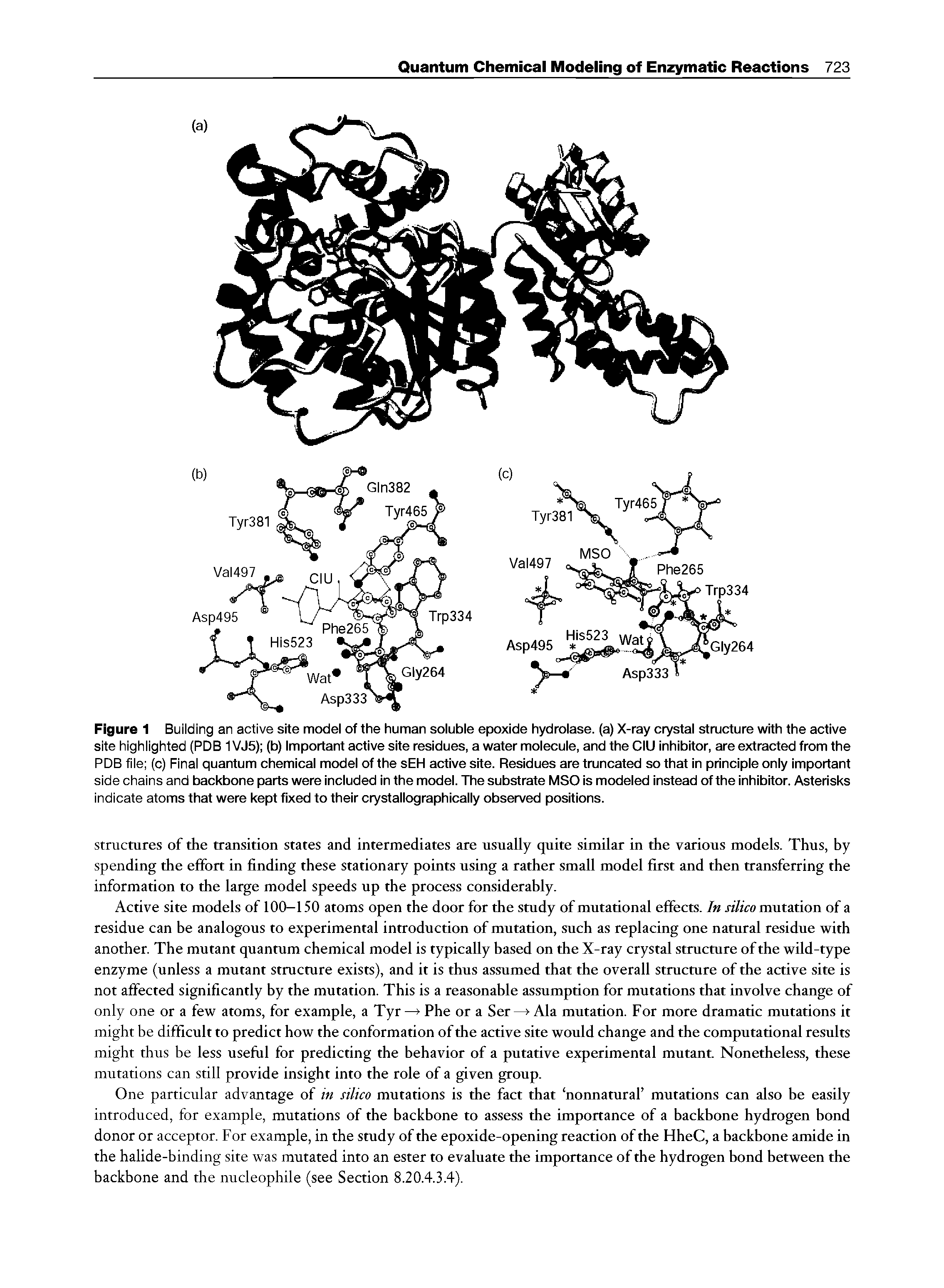 Figure 1 Building an active site model of the human soluble epoxide hydrolase, (a) X-ray crystal structure with the active site highlighted (PDB 1VJ5) (b) Important active site residues, a water molecule, and the CIU inhibitor, are extracted from the PDB file (c) Final quantum chemical model of the sEH active site. Residues are truncated so that in principle only important side chains and backbone parts were included in the model. The substrate MSO is modeled instead of the inhibitor. Asterisks indicate atoms that were kept fixed to their crystallographically observed positions.
