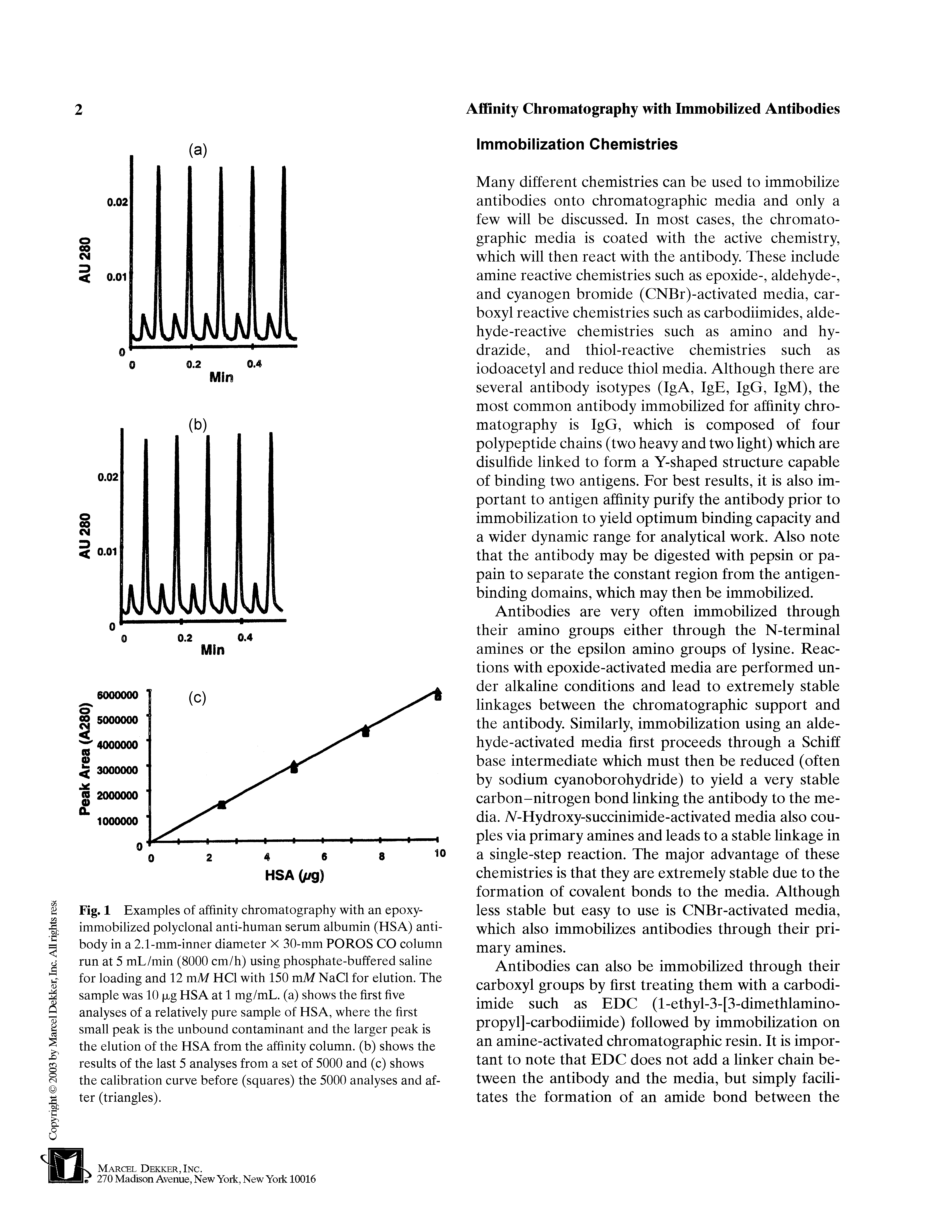 Fig. 1 Examples of affinity chromatography with an epoxy-immobilized polyclonal anti-human serum albumin (HSA) antibody in a 2.1-mm-inner diameter X 30-mm POROS CO column run at 5 mL/min (8000 cm/h) using phosphate-buffered saline for loading and 12 mM HCl with 150 mM NaCl for elution. The sample was 10 jig HSA at 1 mg/mL. (a) shows the first five analyses of a relatively pure sample of HSA, where the first small peak is the unbound contaminant and the larger peak is the elution of the HSA from the affinity column, (b) shows the results of the last 5 analyses from a set of 5000 and (c) shows the calibration curve before (squares) the 5000 analyses and after (triangles).