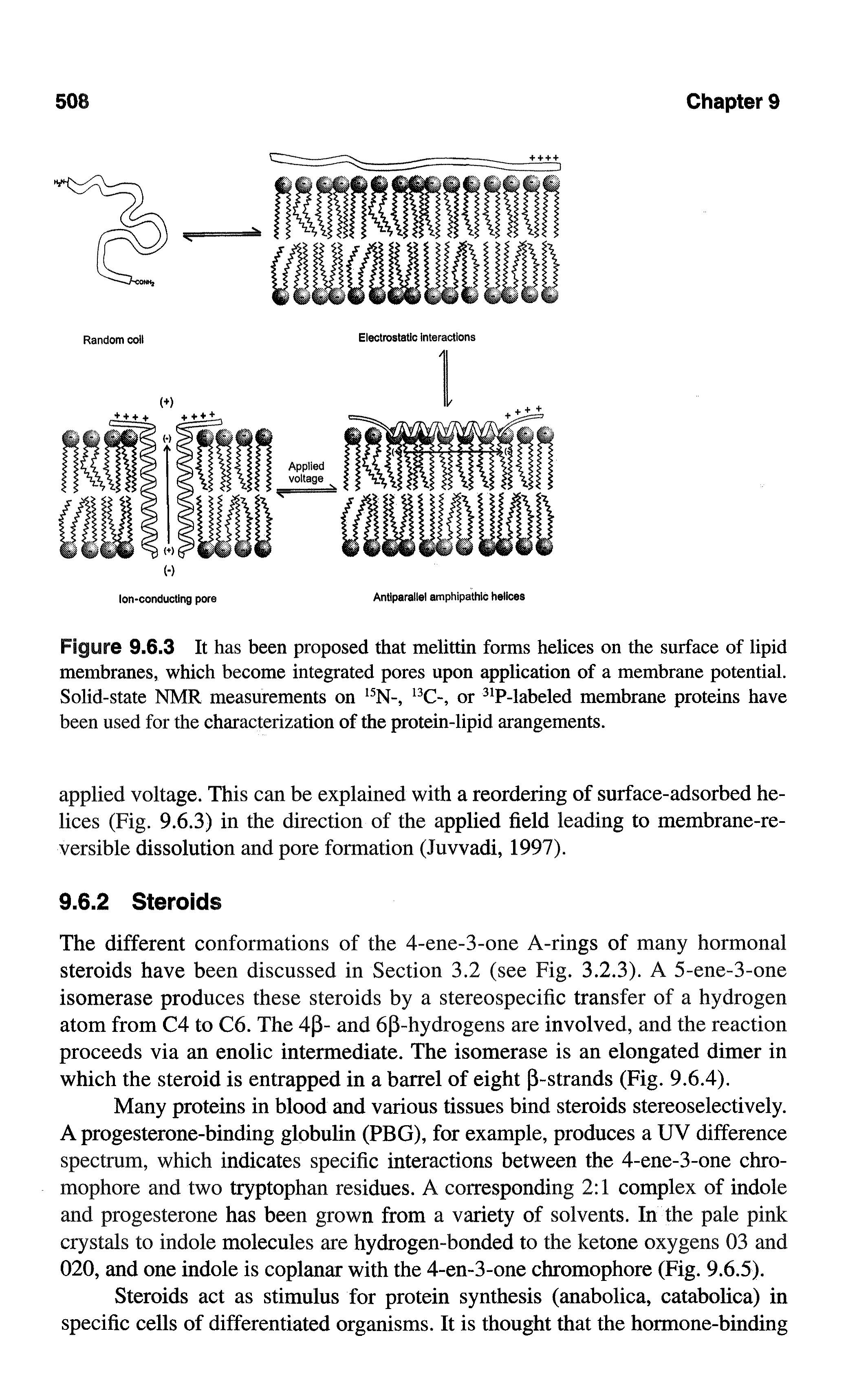 Figure 9.6.3 It has been proposed that melittin forms helices on the surface of lipid membranes, which become integrated pores upon application of a membrane potential. Solid-state NMR measurements on N-, C-, or P-labeled membrane proteins have been used for the characterization of the protein-lipid arangements.